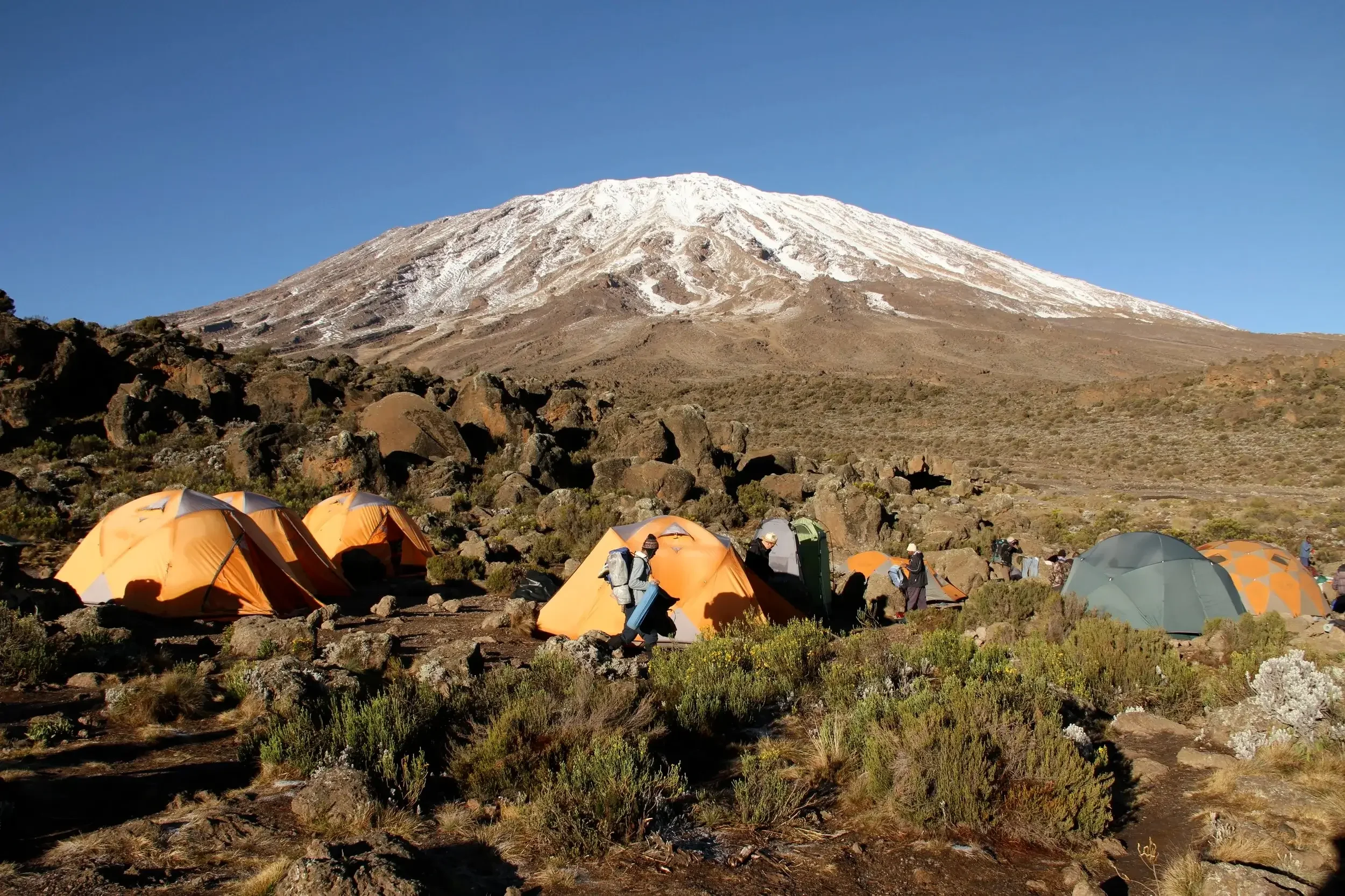 Let. Us. Climb. Kilimanjaro 