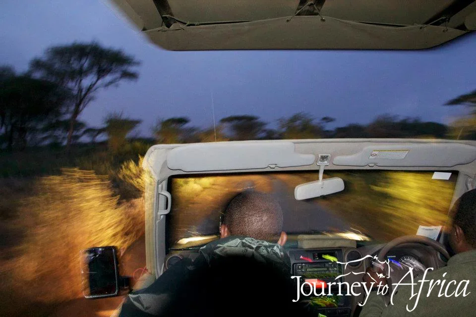 Night Game Drive on Safari
