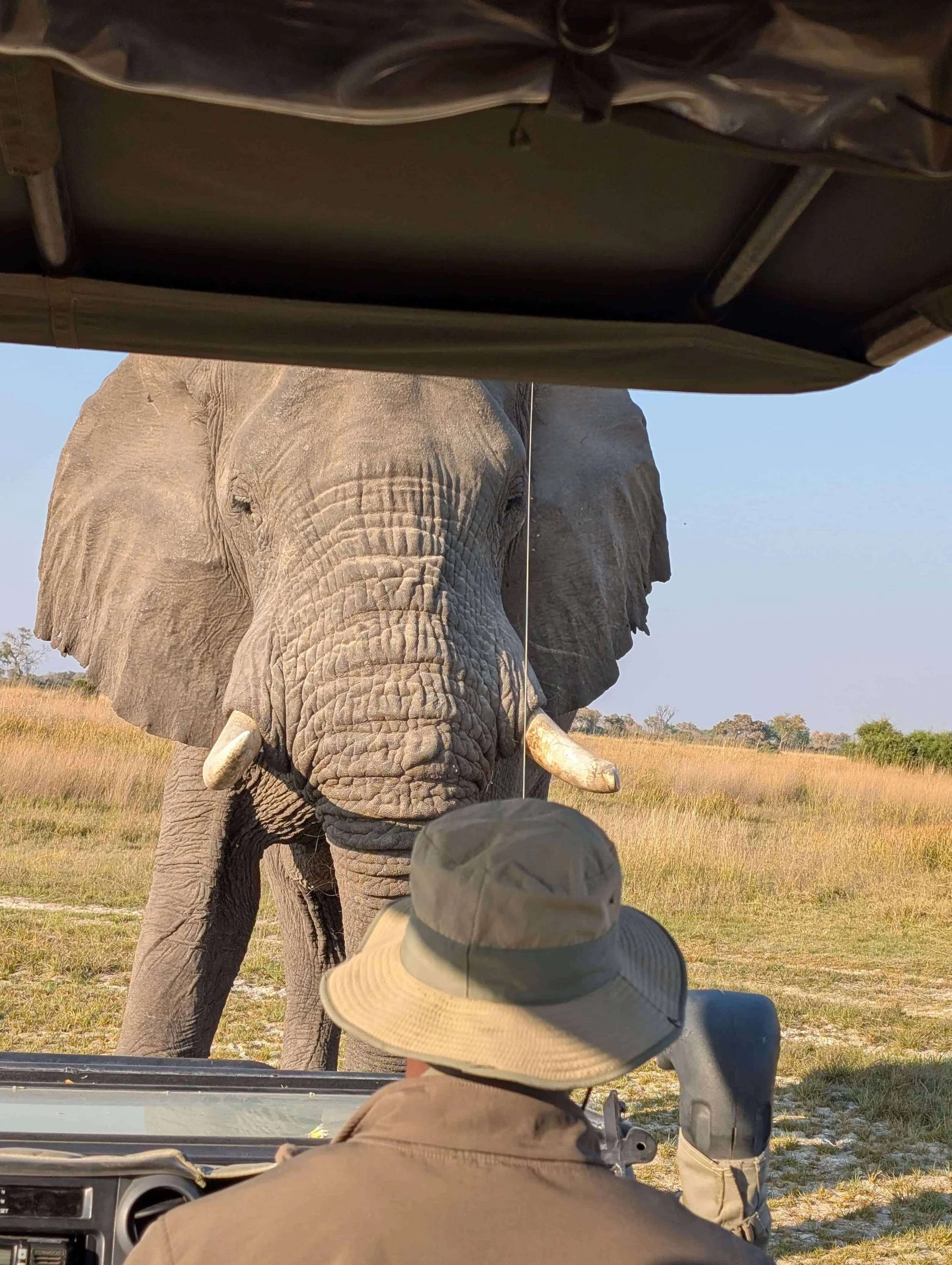 Botswana, Betsy & Mark (1) (1).jpeg