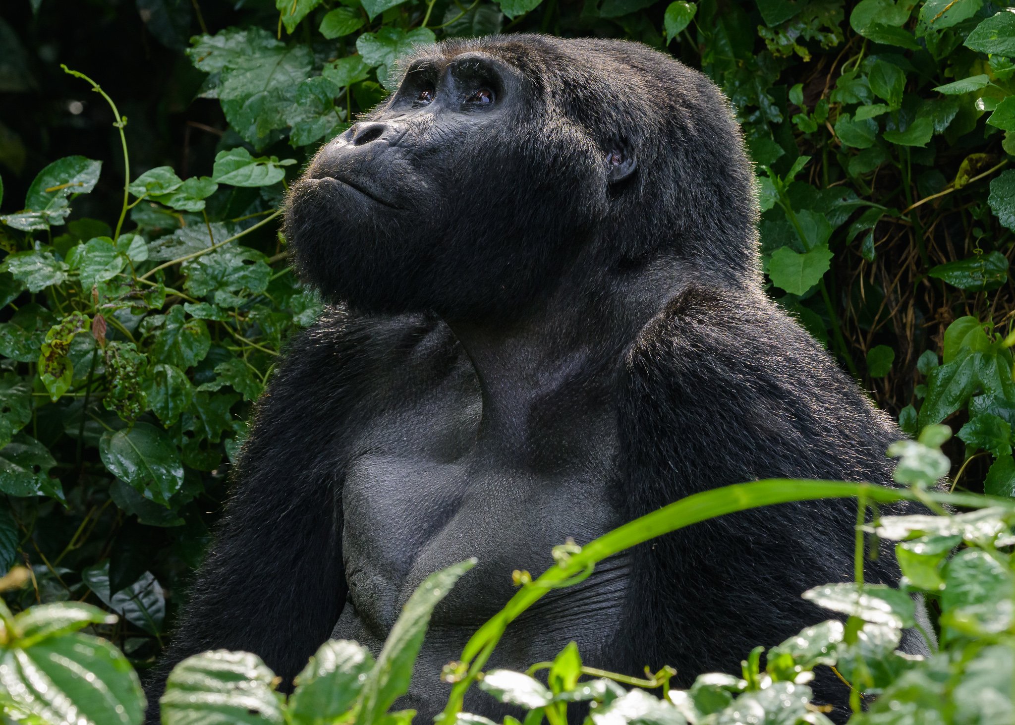 20220312_Uganda_75.jpg