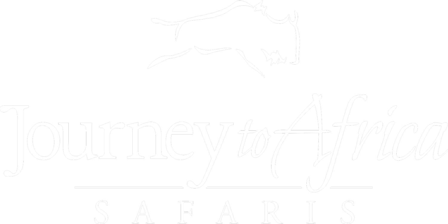 JOURNEY TO AFRICA