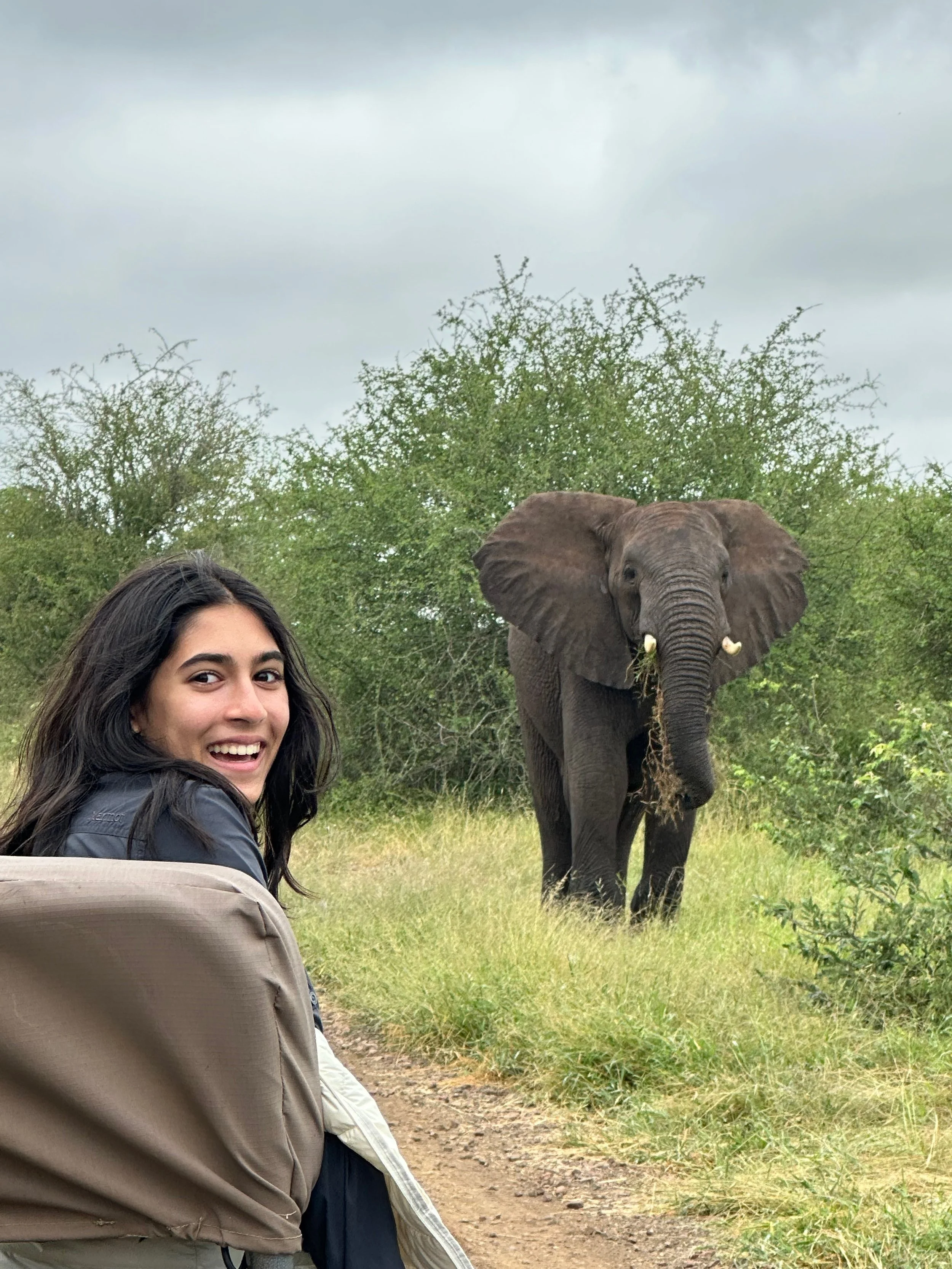 Teenager on Safari watching an elephant