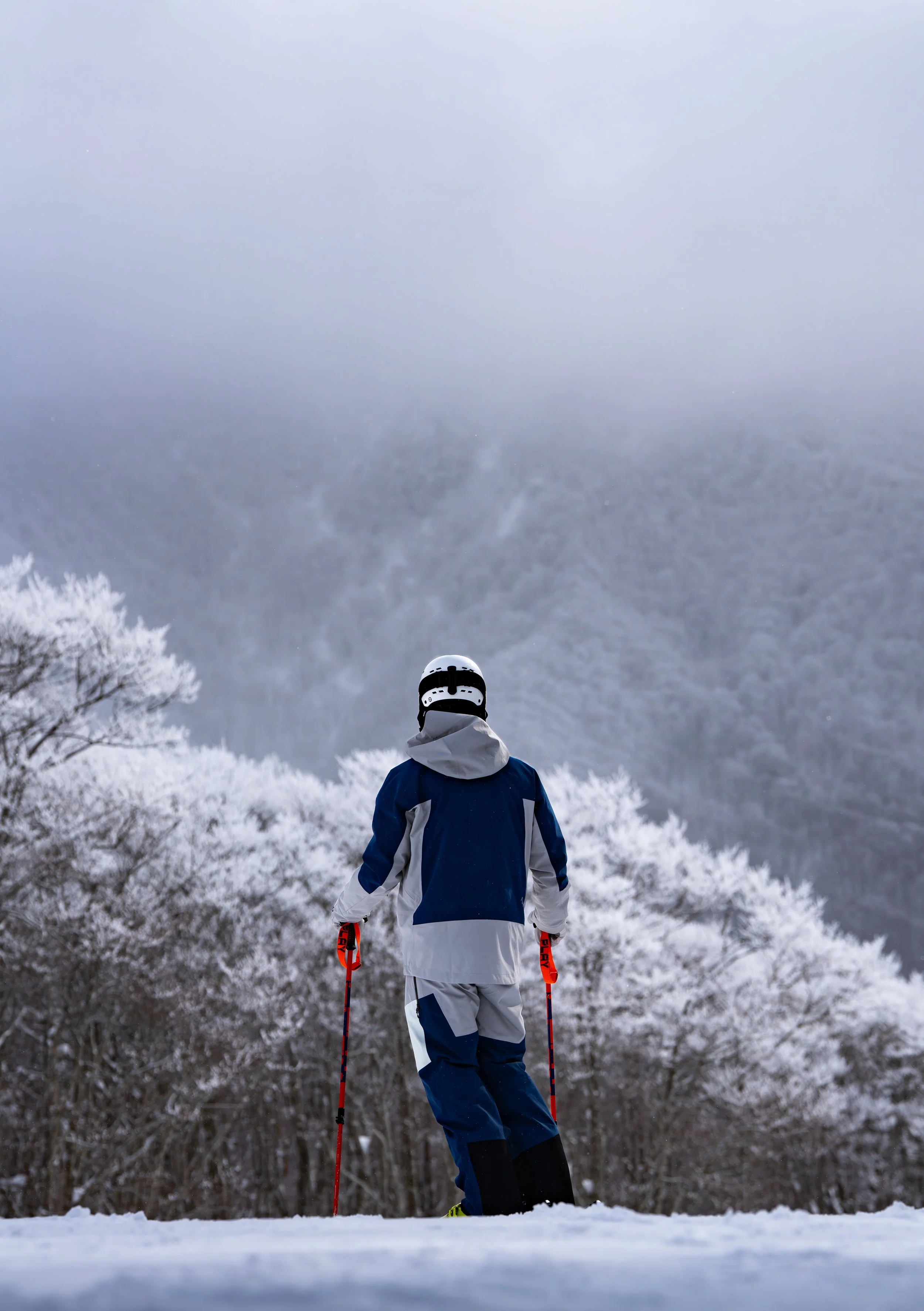 BigPictureSkiing