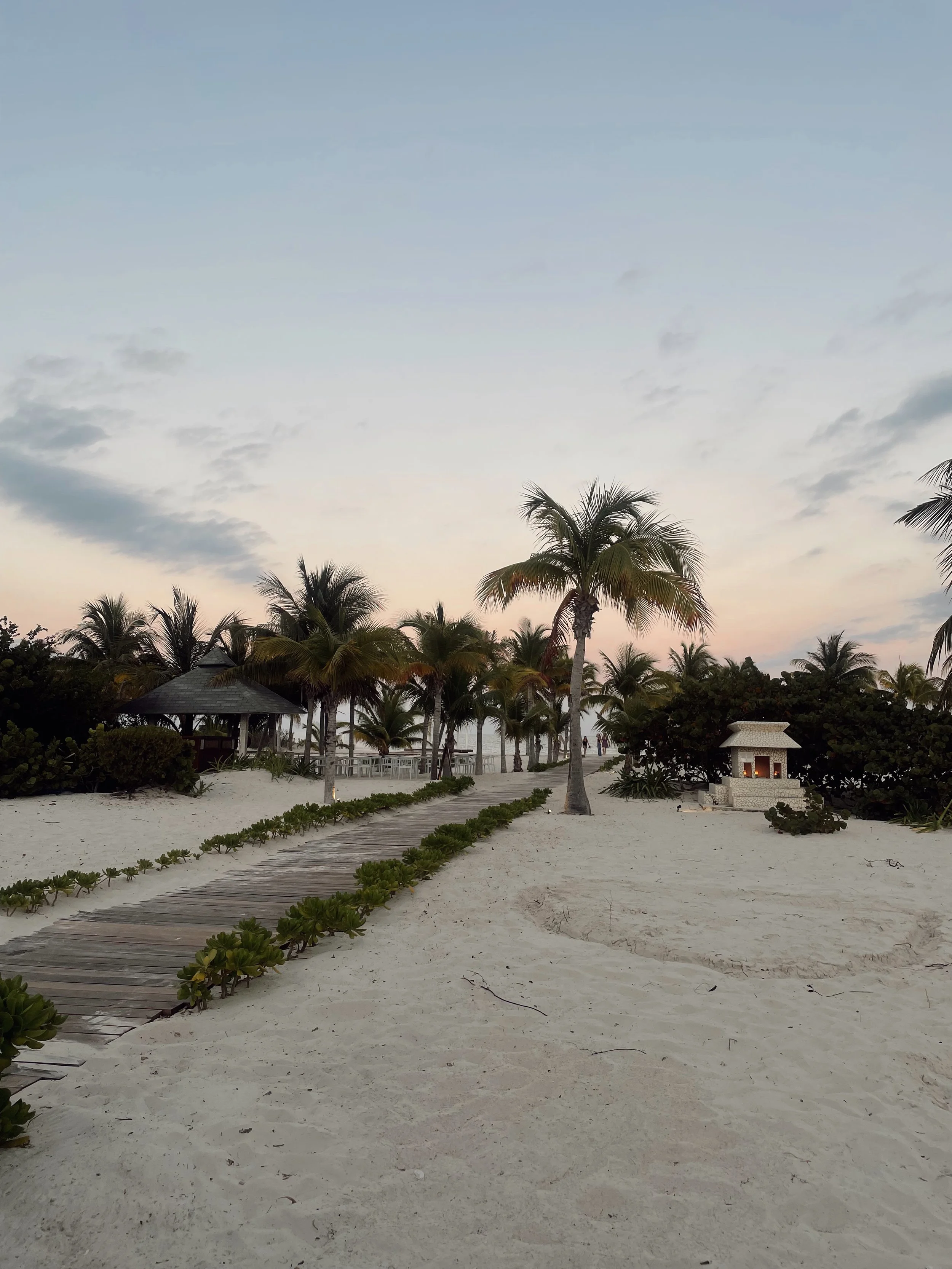A sandy beach with a wooden pathway lined with greenery, surrounded by palm trees, under a partly cloudy sky during sunset or sunrise.