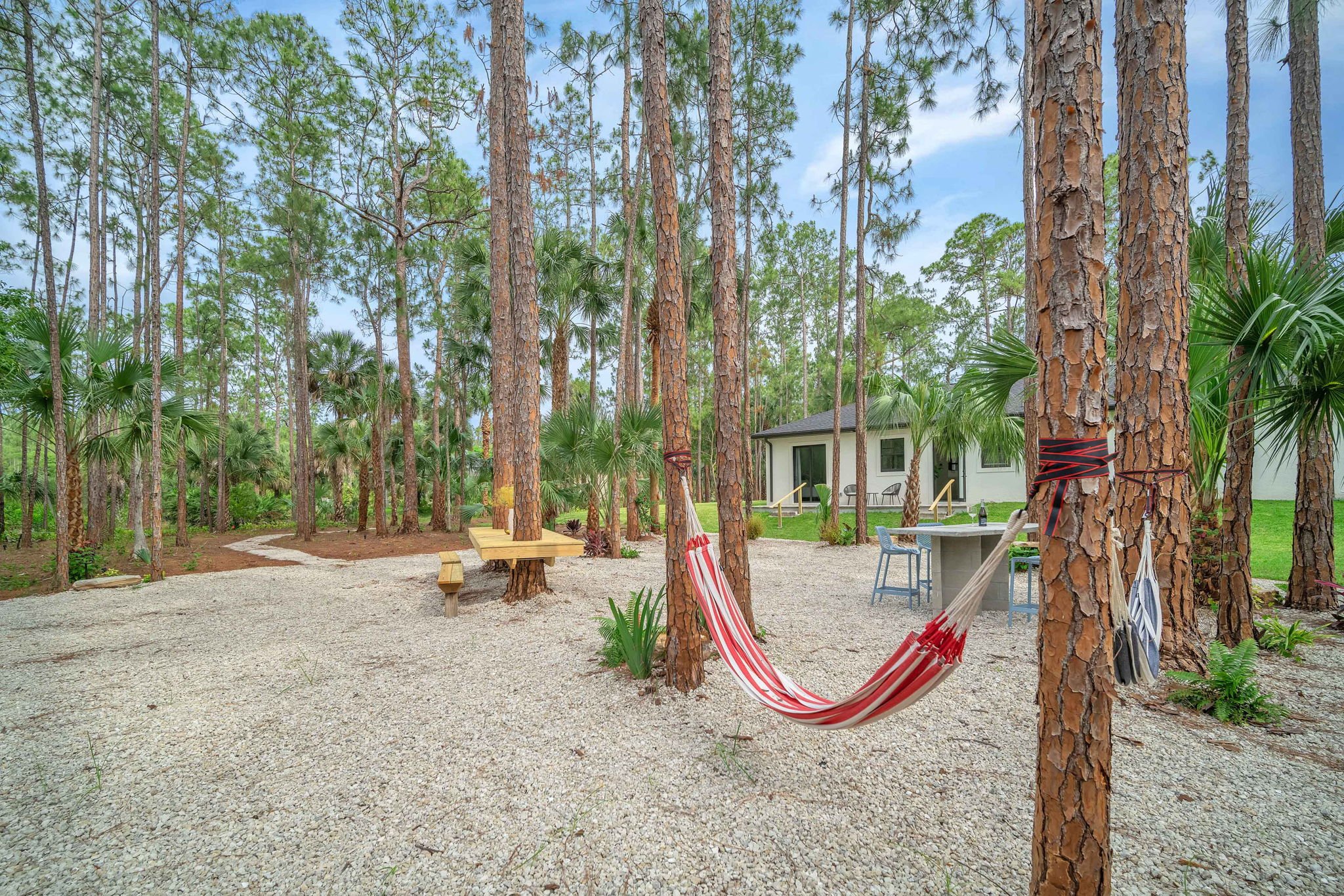 A backyard scene with tall pine trees, a hammock tied between two trees, and a small white house with a porch. There are outdoor chairs and tables, and a gravel ground.