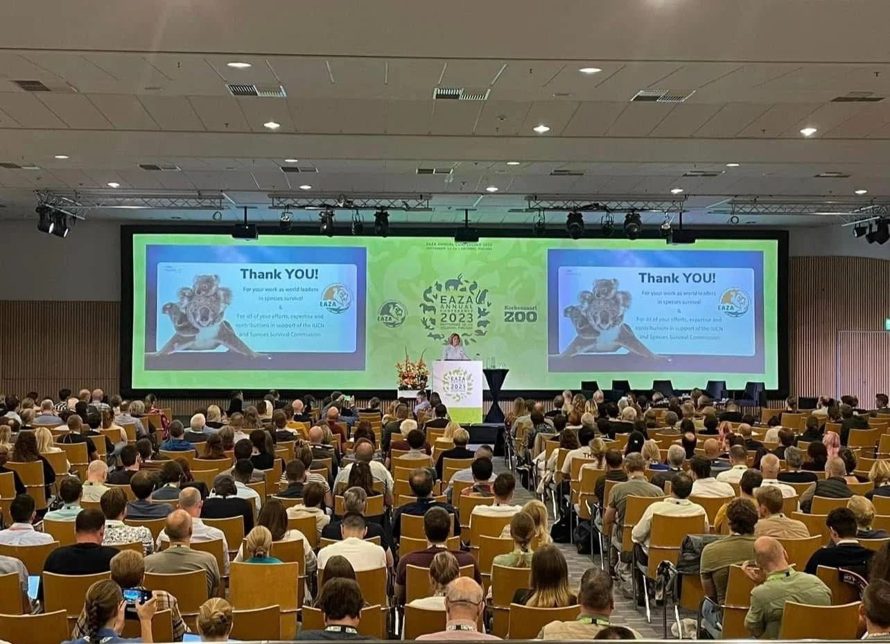 Large conference room filled with seated attendees watching a presentation on a big screen, with a woman speaking at a podium in front of a green backdrop that reads 'EAZA 2023 Annual Conference' and 'Krakow Zoo.' The screen displays a thank you message with an image of a lion.