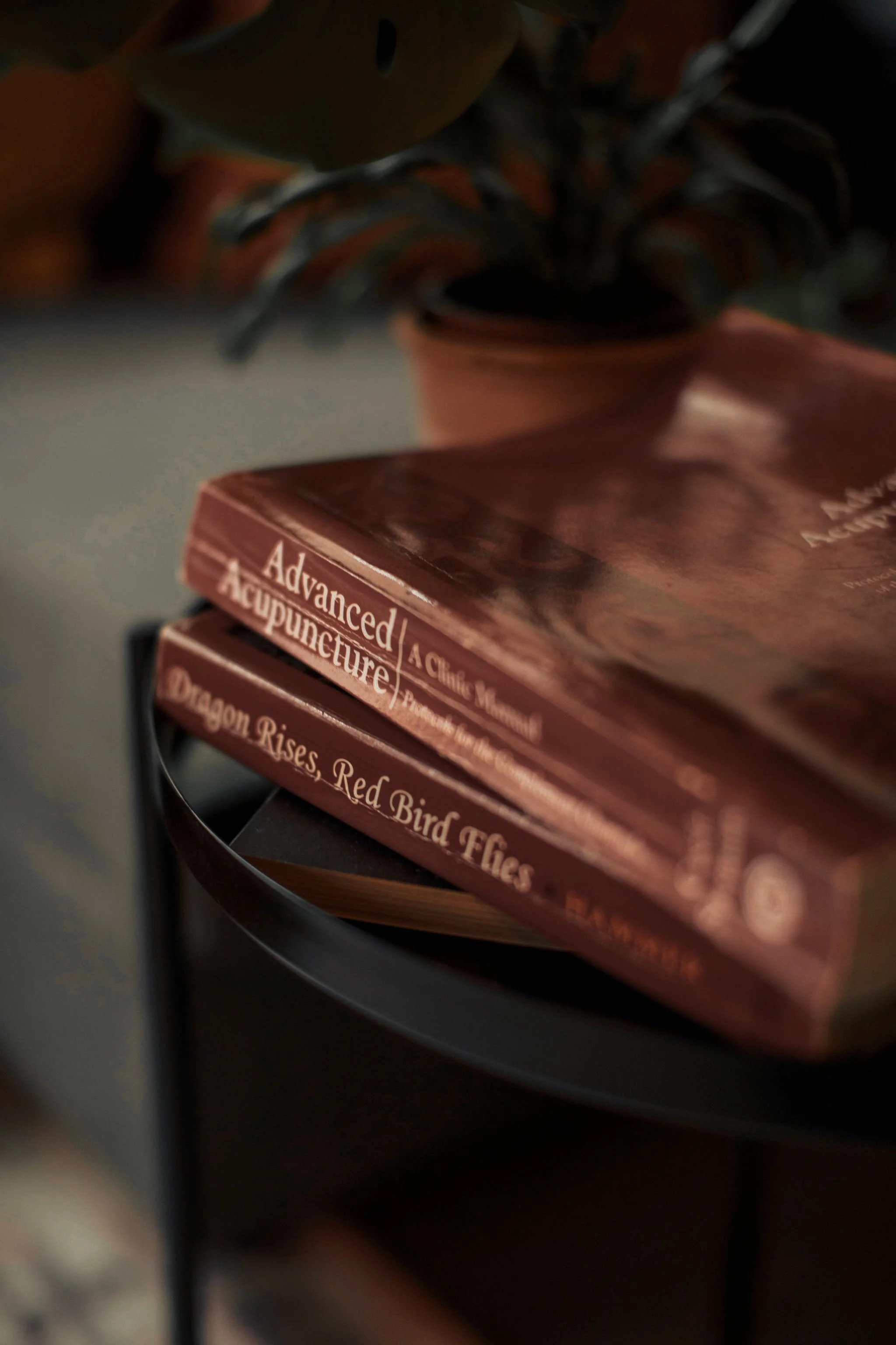 Close-up of books with titles 'Advanced Anatomy & Acupuncture' and 'Dragon Rises, Red Bird Flies' on a black surface, with a rock and some plants in the background.