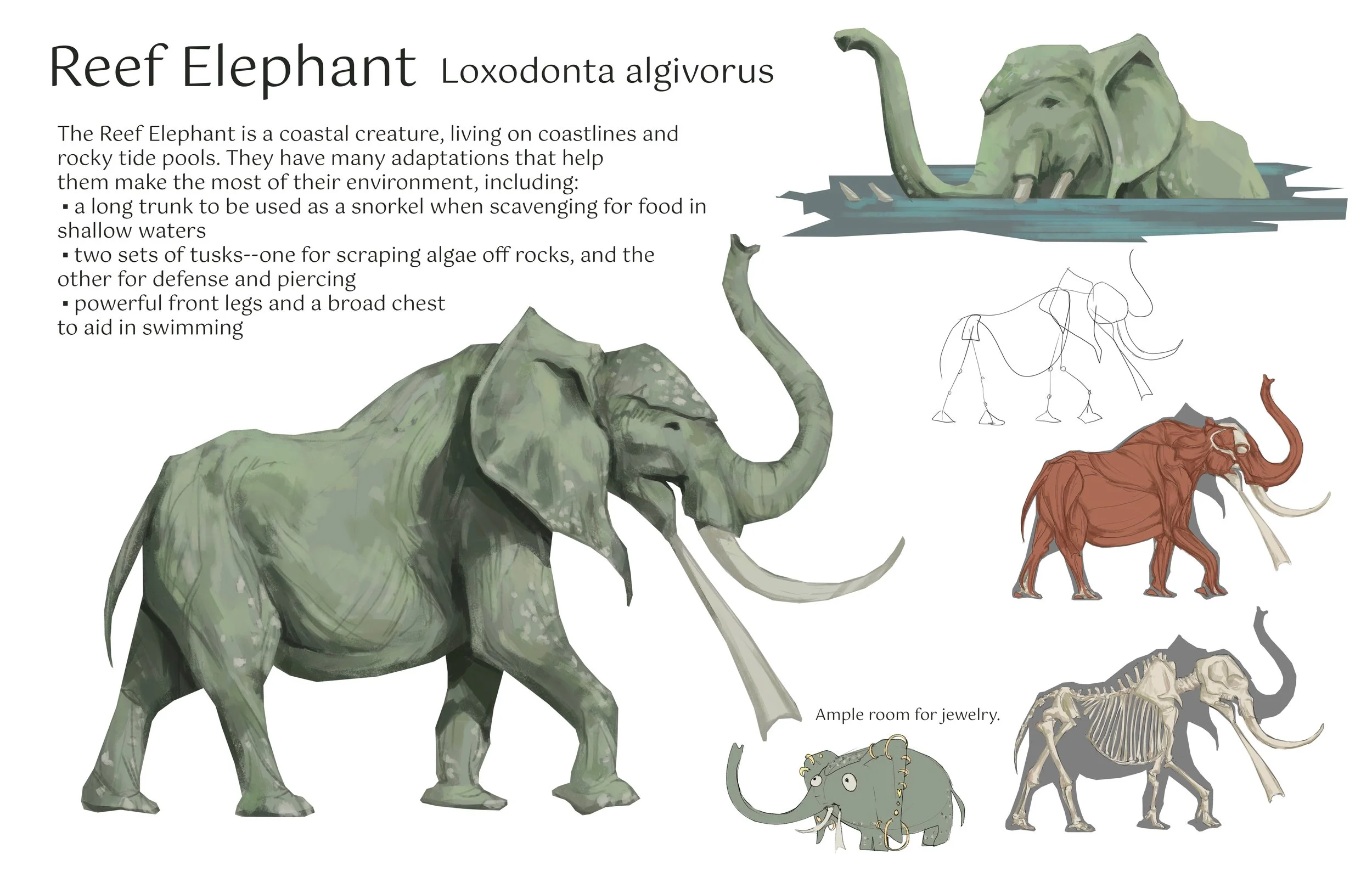 SAV_202530_ILLU_384_Zoe_Leach_A6_Elephant_Comp.jpeg