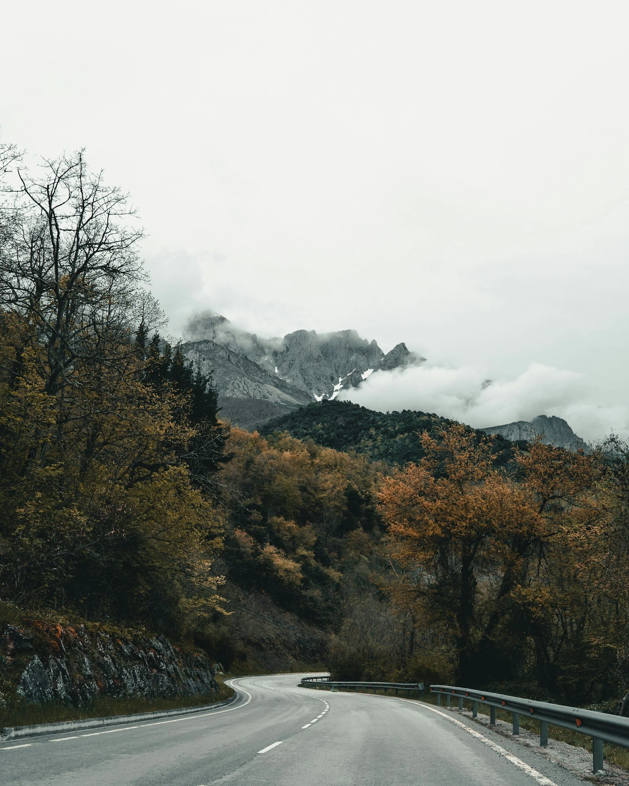 clouds and trees