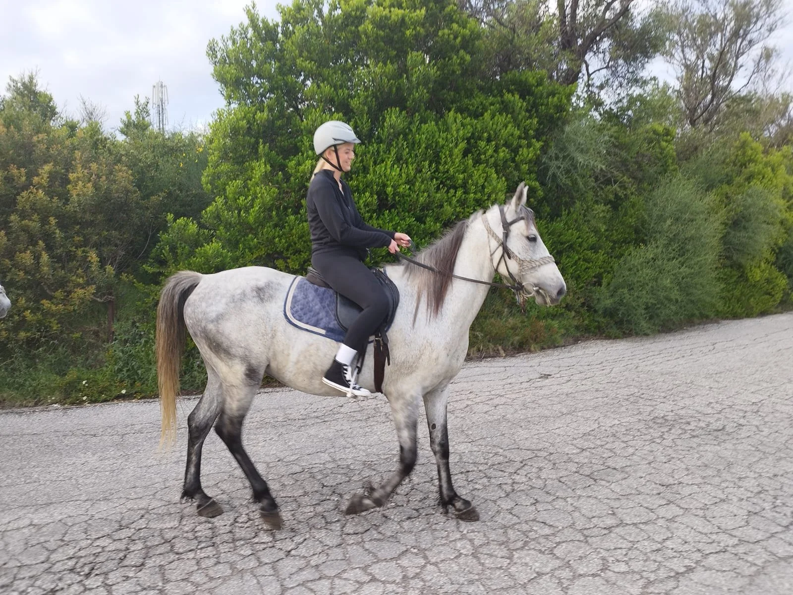 A woman riding a white horse on a cracked asphalt road with green trees in the background, wearing a helmet and black riding attire.