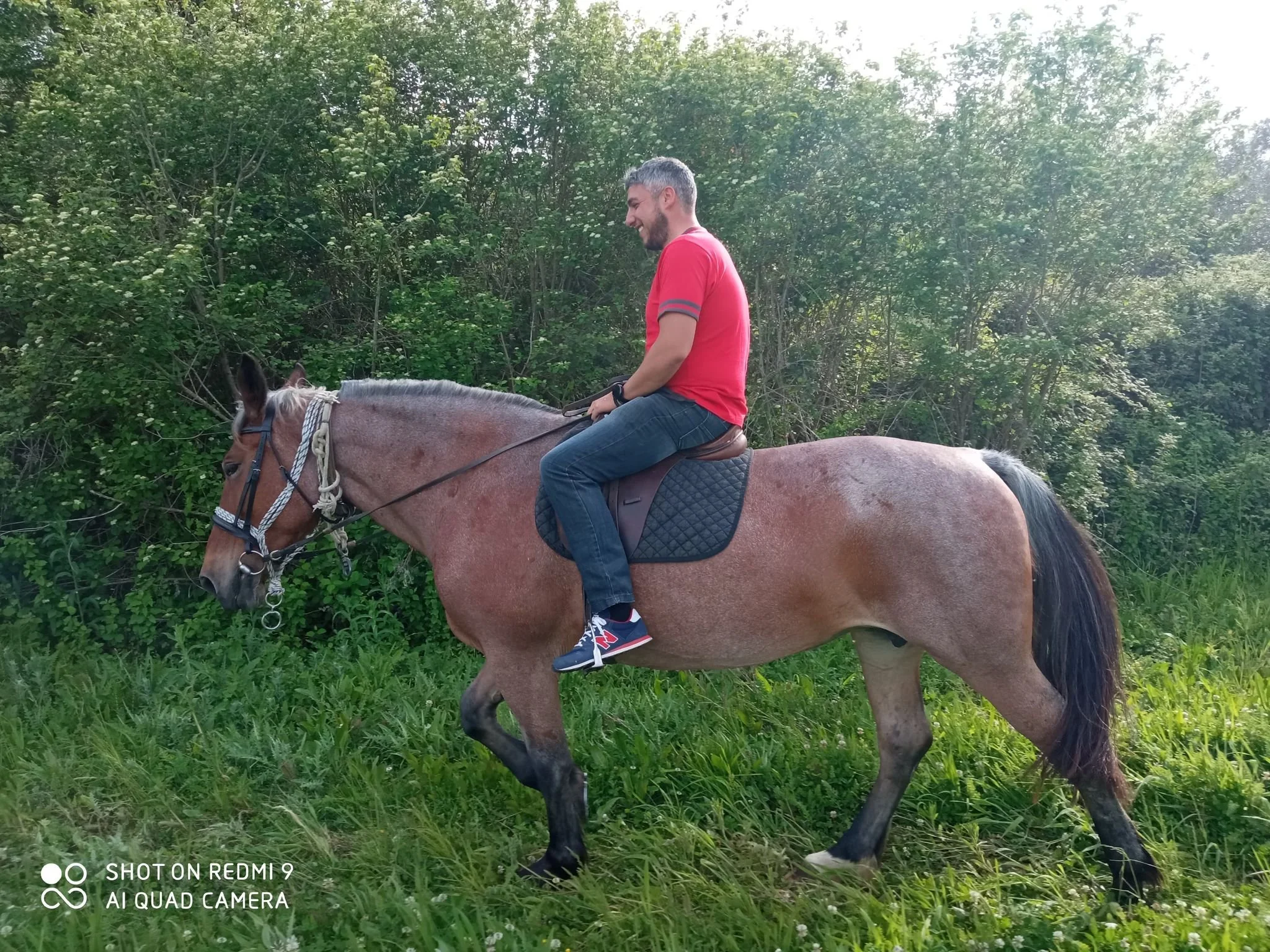 A man with short gray hair and a beard is riding a brown horse with a black mane in a grassy area with dense green bushes and trees in the background. He is wearing a red t-shirt, dark jeans, and sneakers, and is smiling while looking forward.