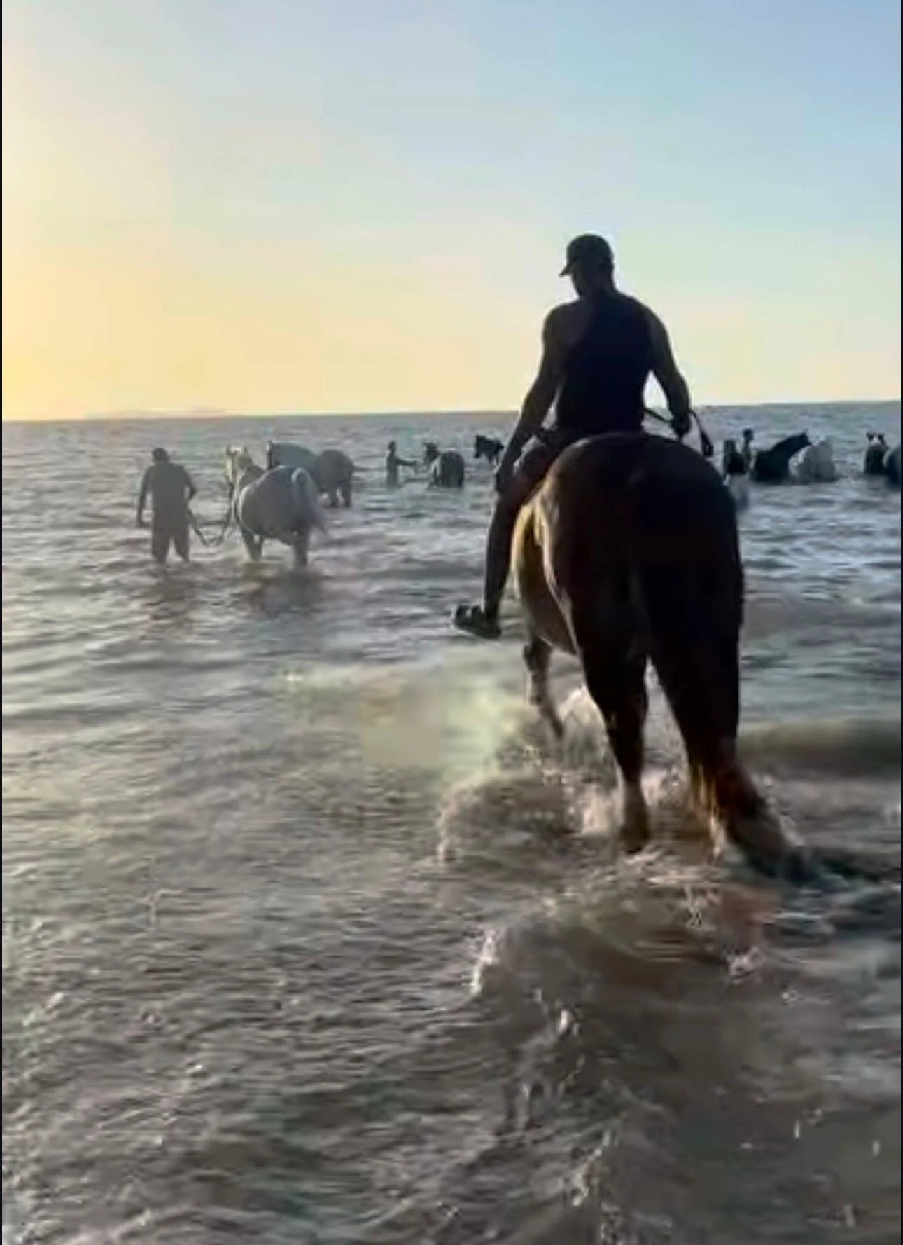 People and horses wading through the ocean at sunset.