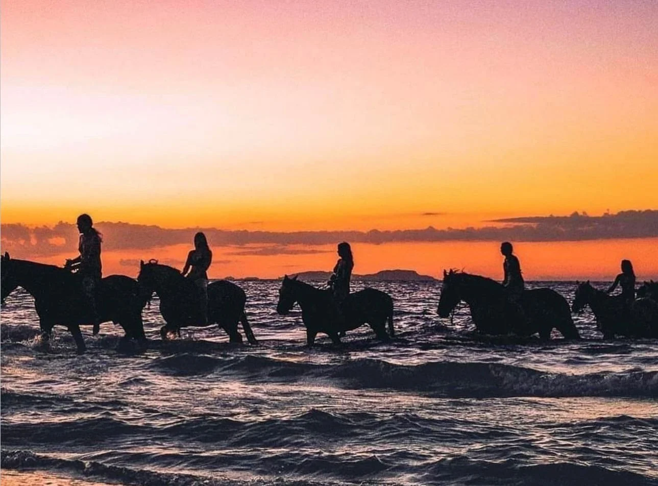 Silhouettes of six people riding horses in the ocean at sunset with a colorful sky.