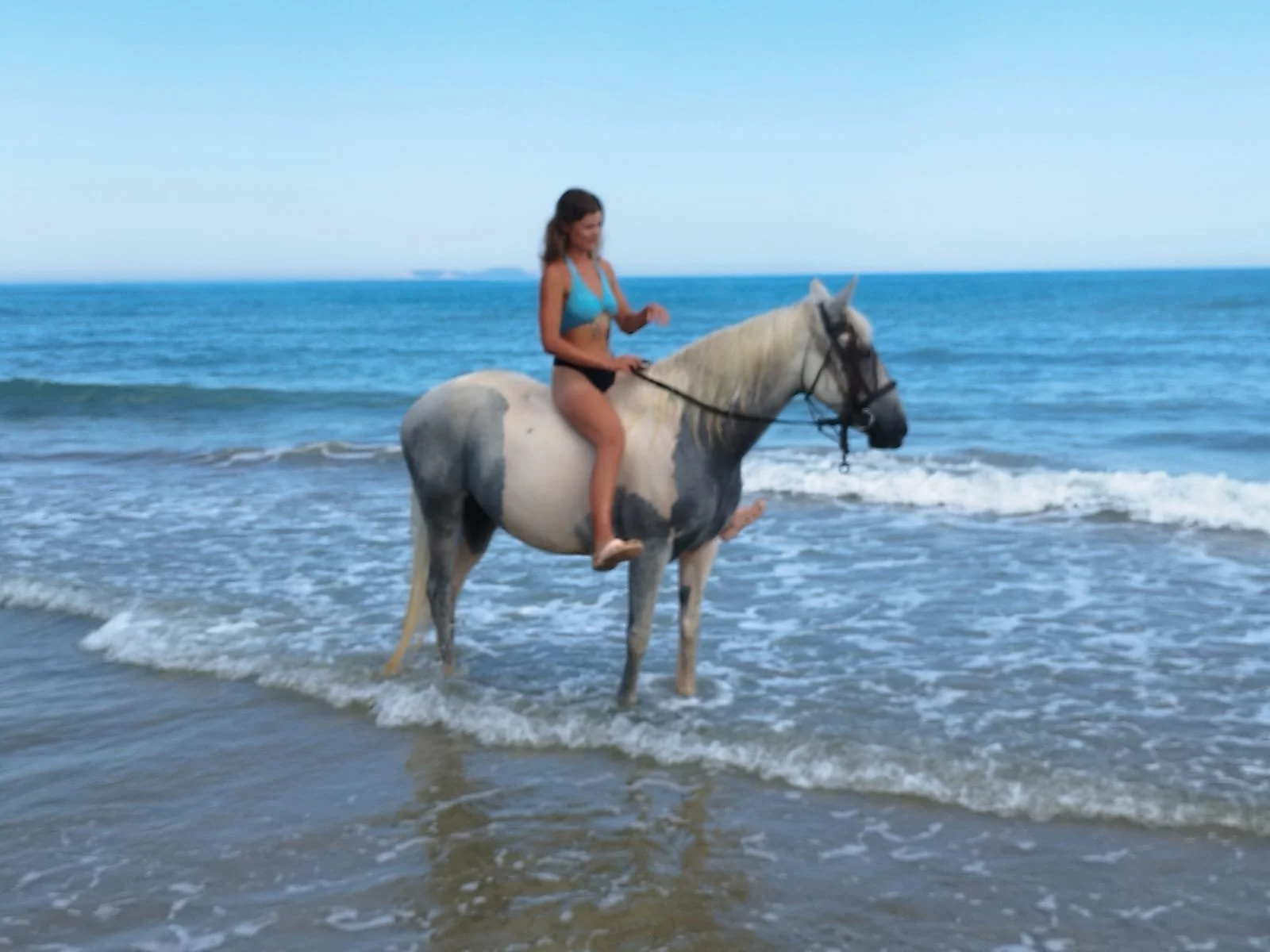 A woman riding a white horse on the beach by the ocean with waves and a clear sky.
