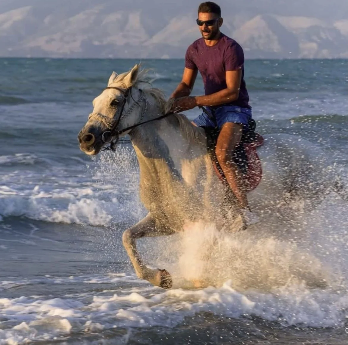 A man riding a white horse through the ocean surf at sunset, smiling and wearing sunglasses and a purple T-shirt.