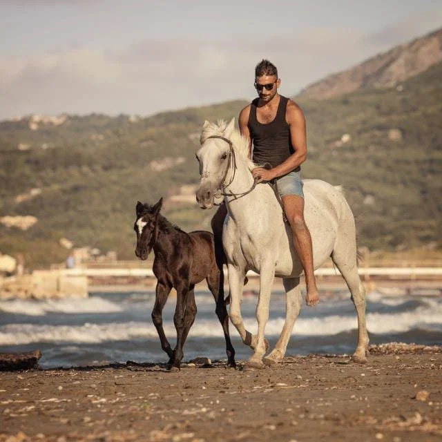 A man riding a white horse on the beach with a small black horse nearby, with hills in the background.