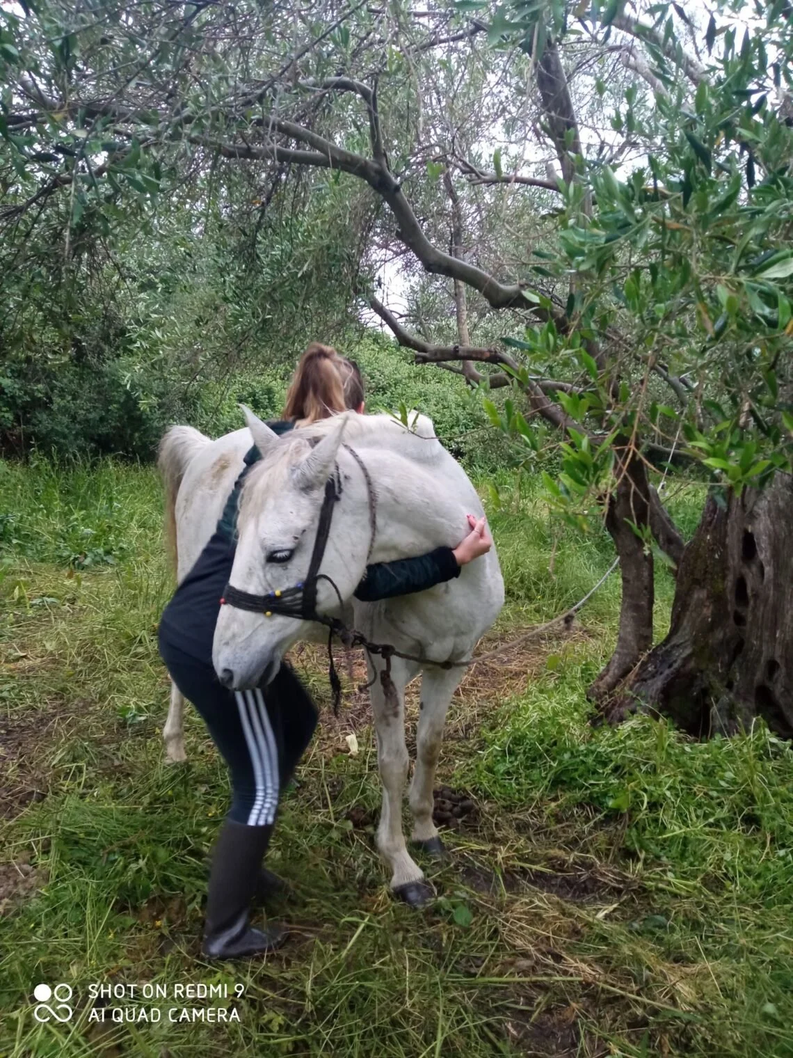Person hugging a white horse in a forested area with green grass and trees.