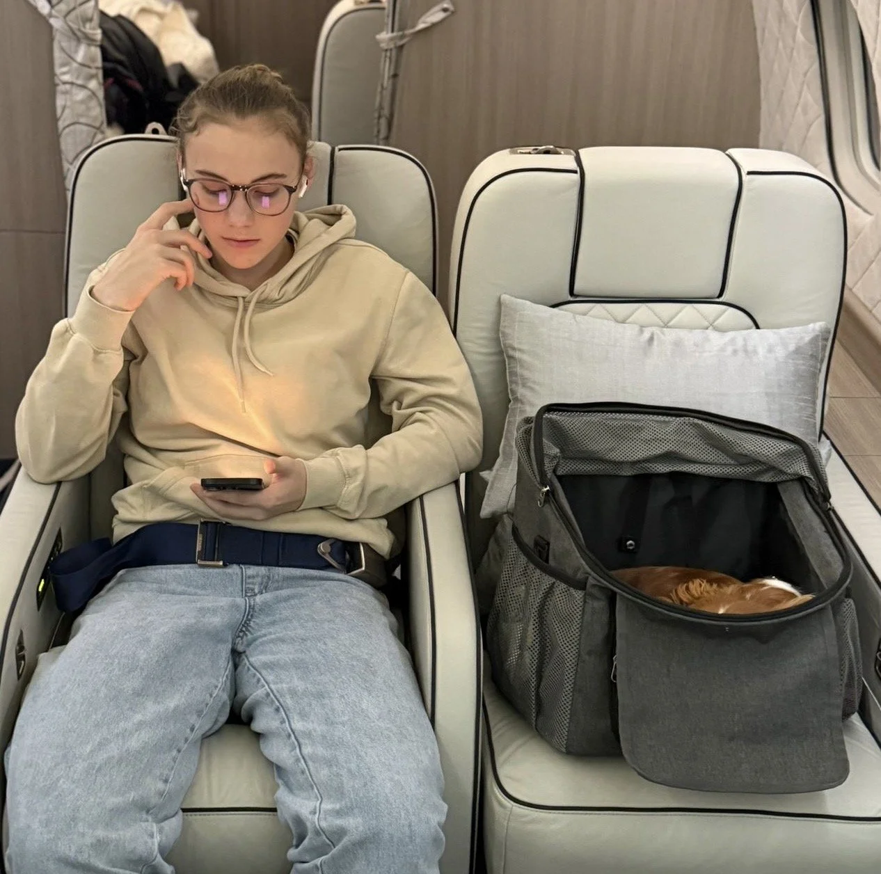 Jeune femme assise dans un siège d'avion, regardant son téléphone, à côté d'une grande cage contenant un chien endormi.