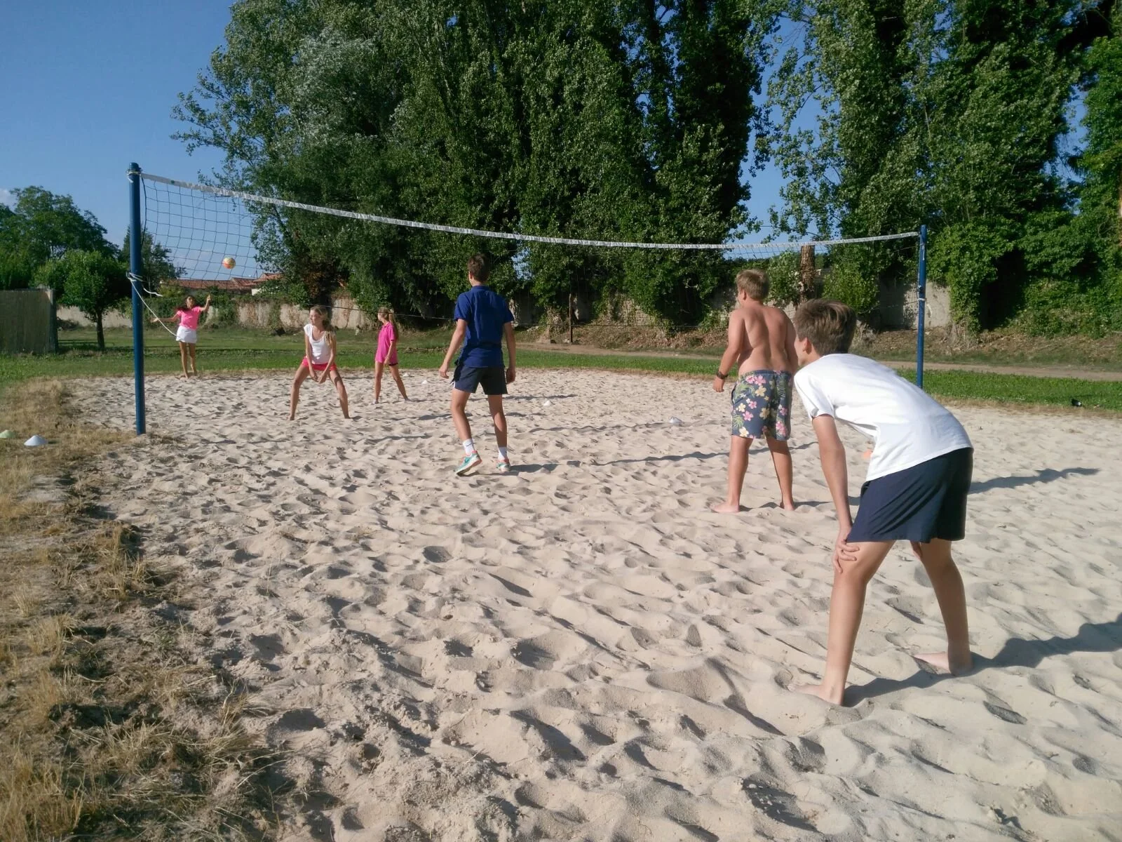 Niños jugando voleibol en la arena en un parque con árboles y cielo azul.