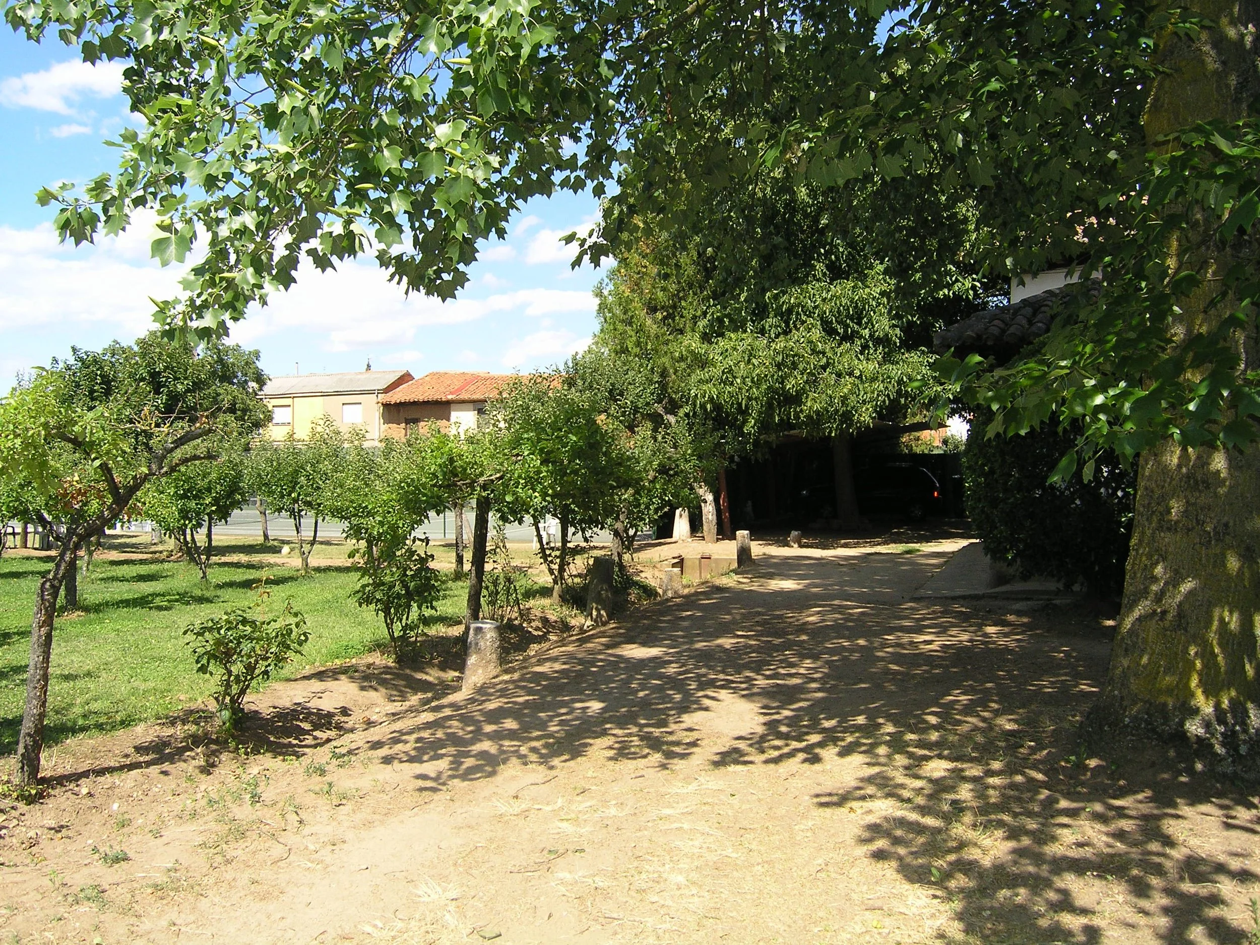 Árboles en un parque con sombra, casas con techos de tejas, cielo despejado con algunas nubes, sendero de tierra.