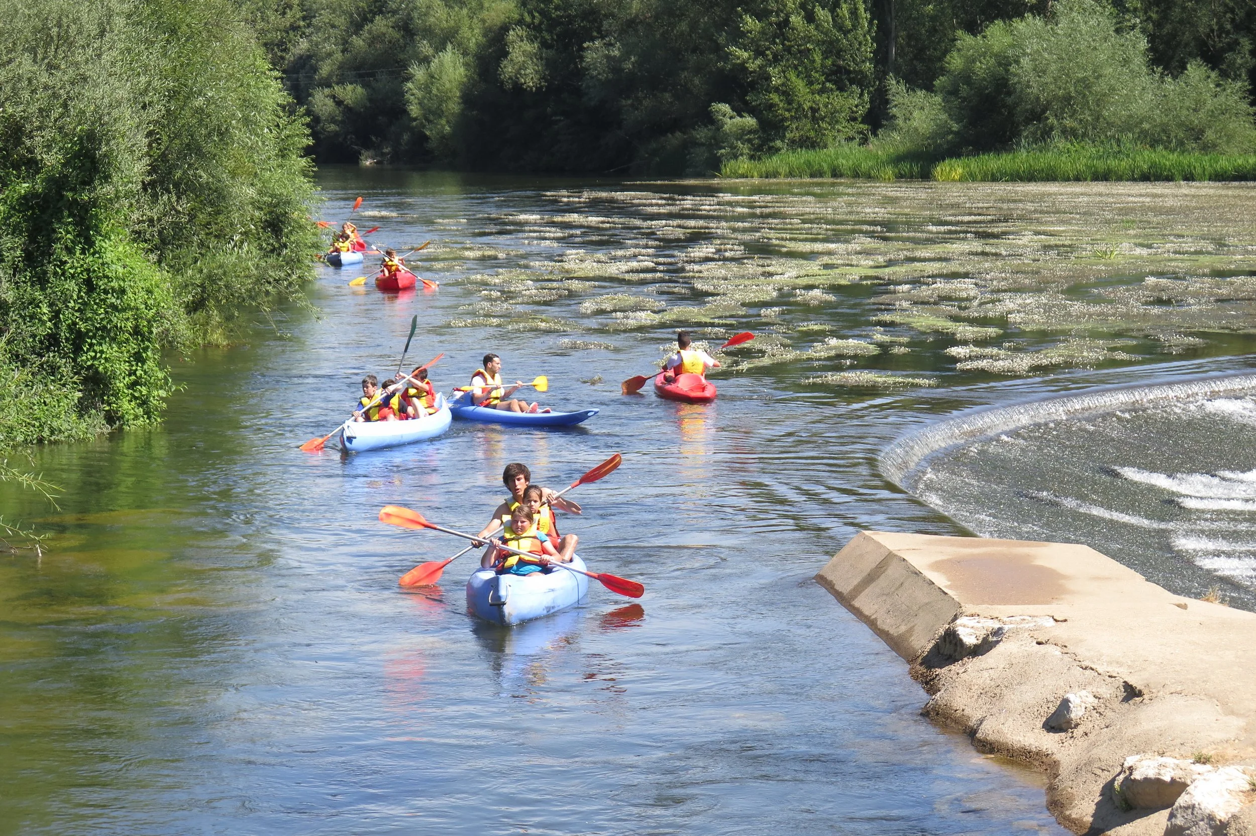 Grupo de personas remando en kayak por un río rodeado de árboles.