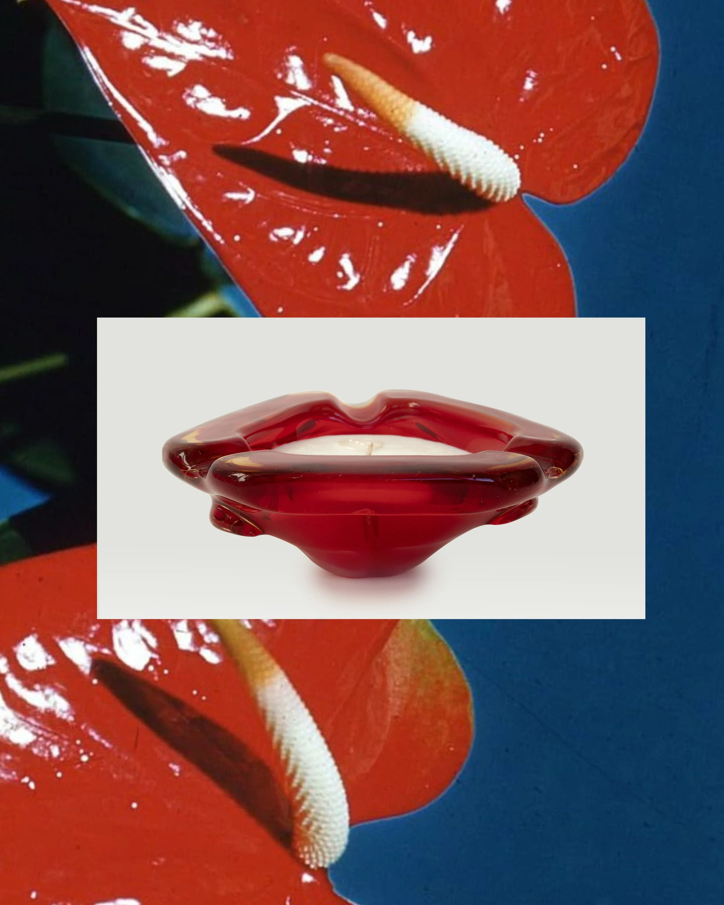 Red collection 
ravive.eu

Link in bio