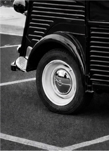 Classic Van Botnaic Gardens Gelati Punk