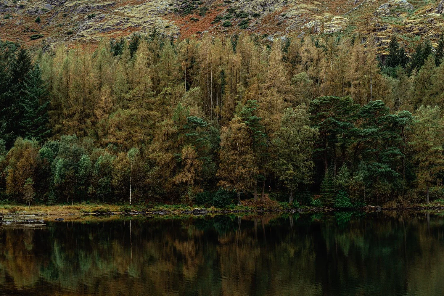 DSCF1539.jpg
