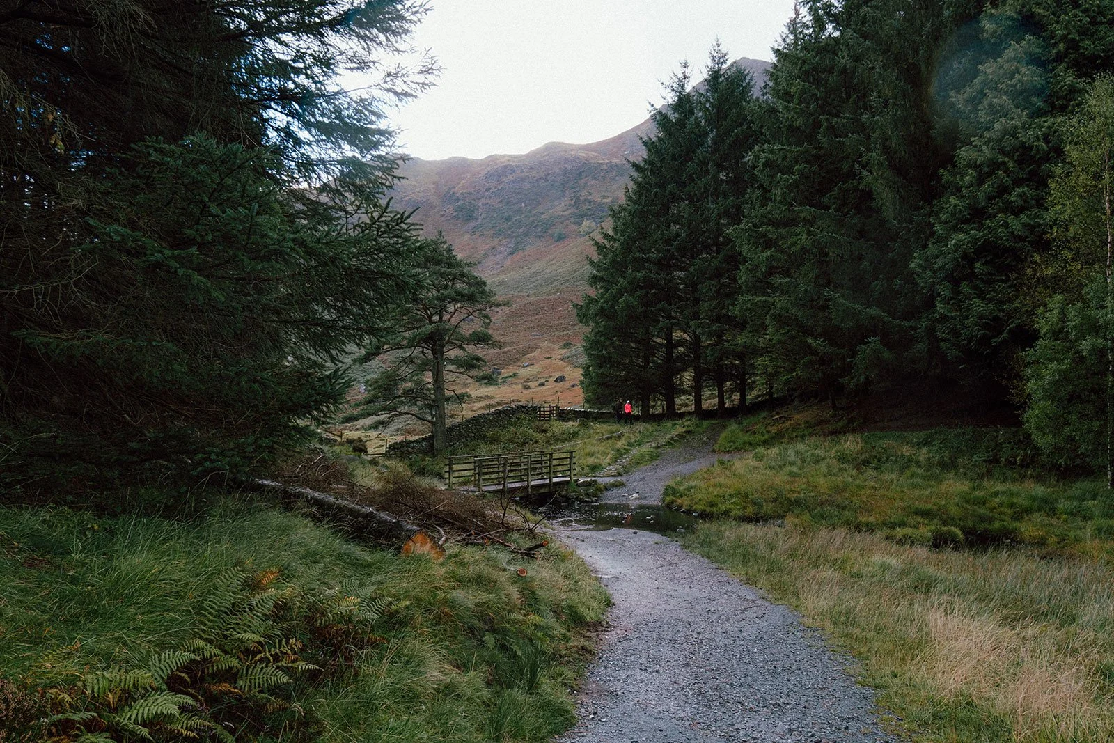 DSCF1595.jpg