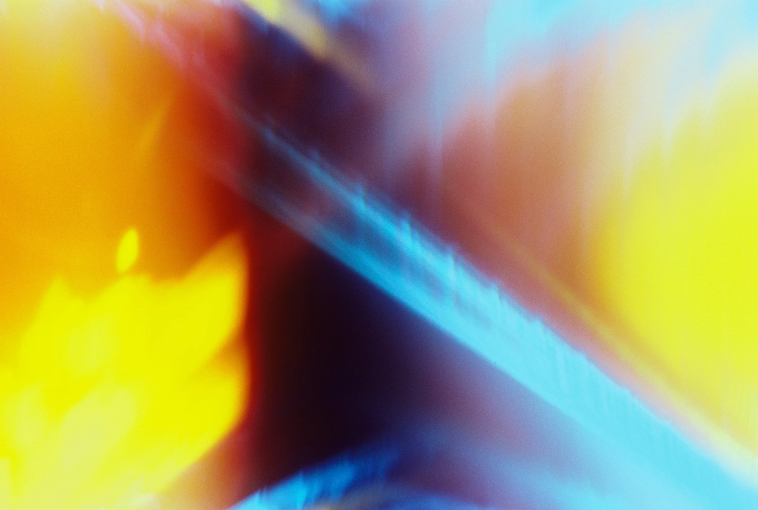 000031.JPG