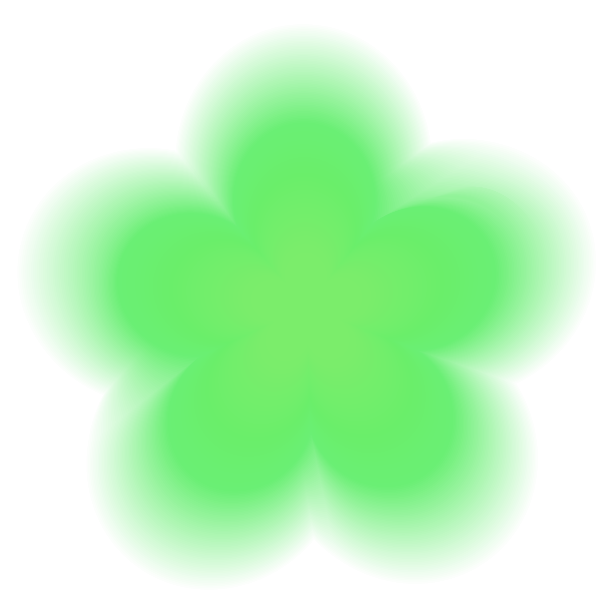Close-up of a bright green tropical leaf with a black background.