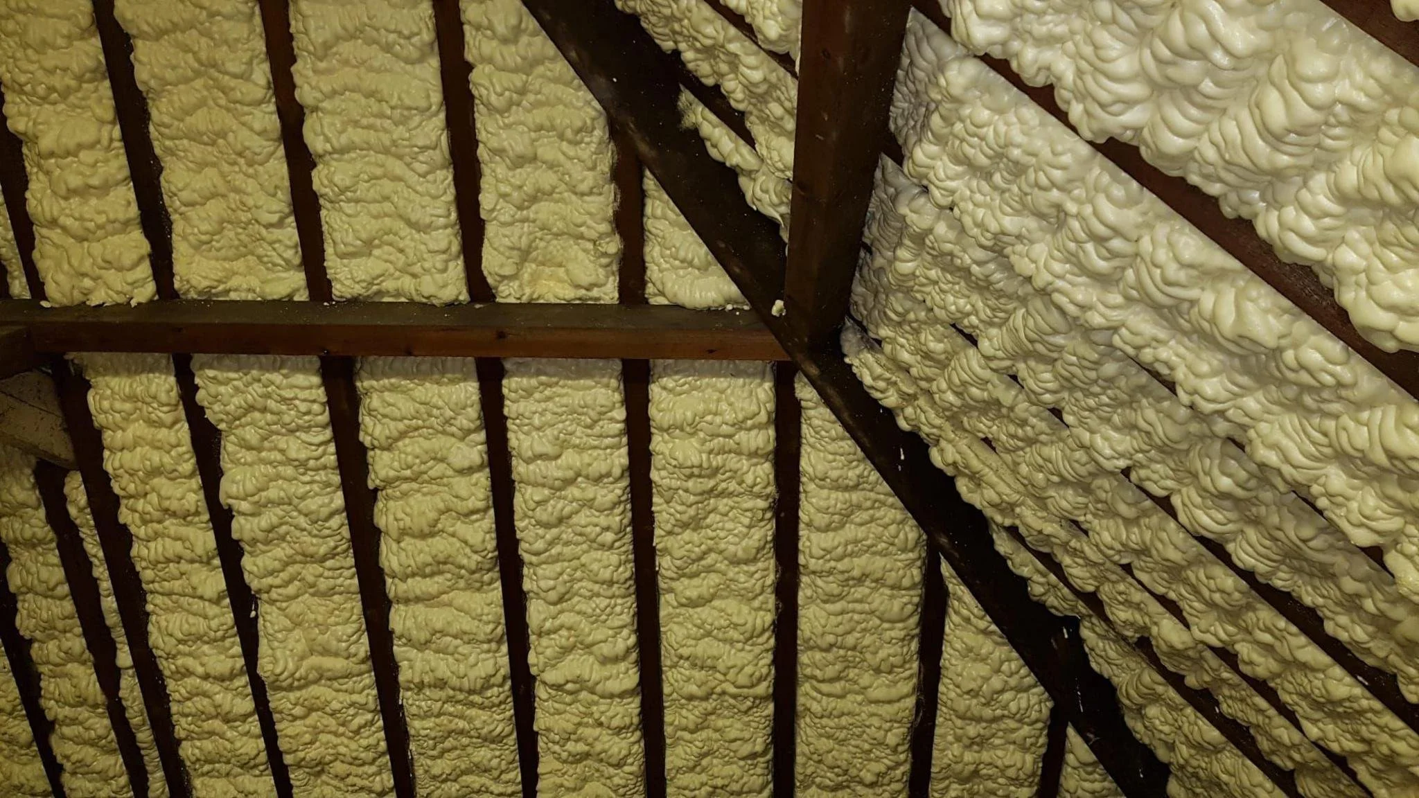 Spray foam insulation applied over and between roof timbers