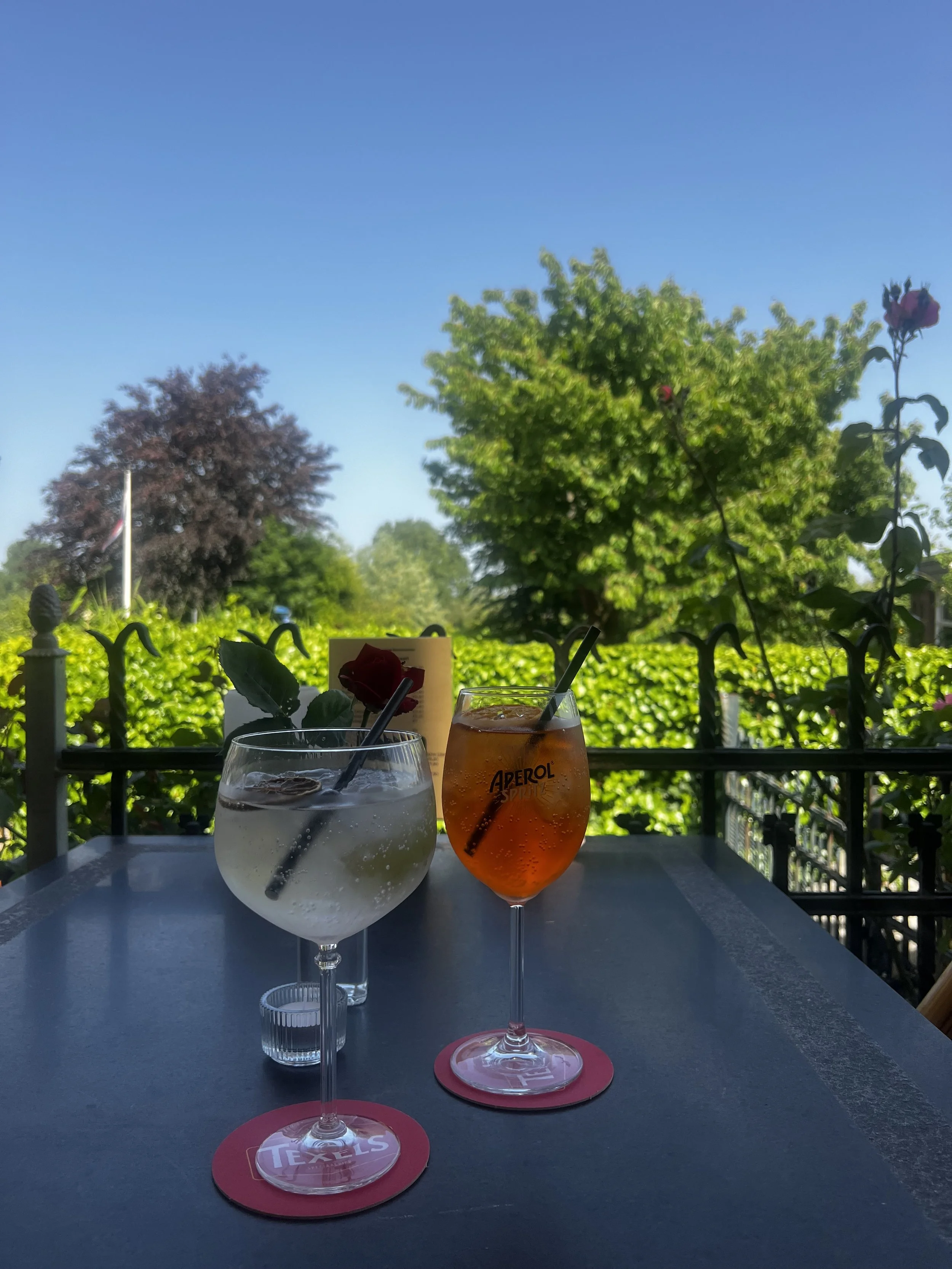 Twee glazen op een tafel met een tuinachtergrond en een heldere blauwe lucht. Eén glas bevat een blauwe cocktail en de andere een oranje cocktail. Beide glazen hebben rietjes en onderzetters met de tekst 'Texels'.