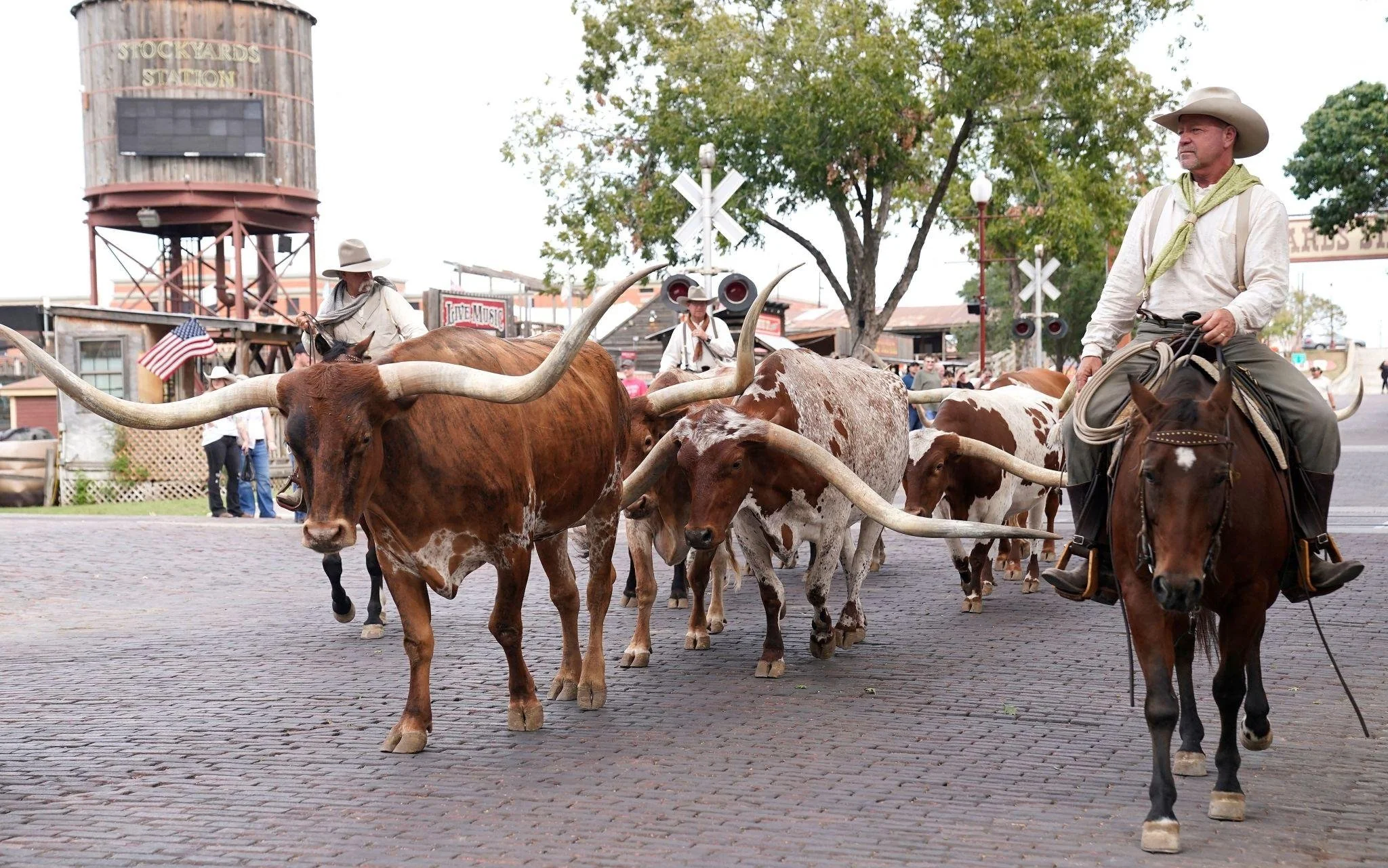 Men dressed as cowboys riding horses among Texas Longhorn cattle on a wooden street in a western-themed town with a water tower and train crossing signals in the background.