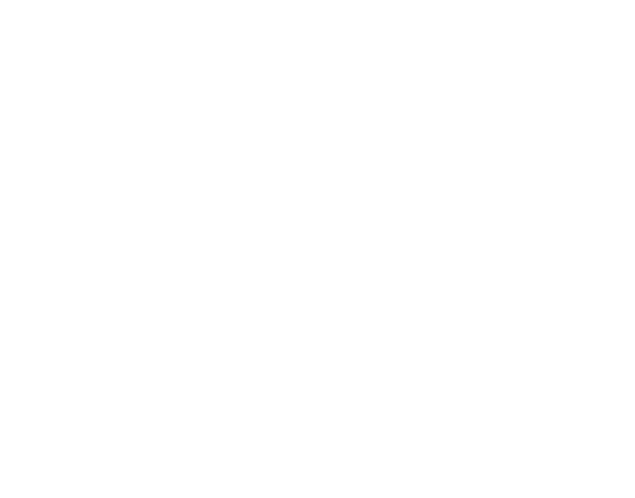 Logo featuring a stylized black and white brain with the words "Somatic Shift Therapy, LLC" below.