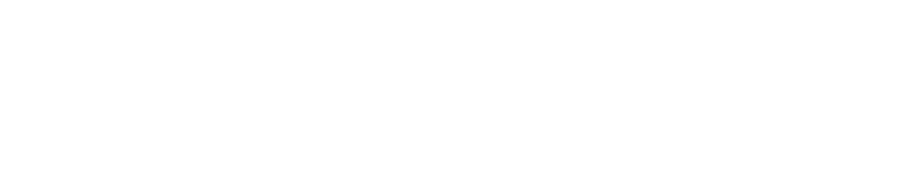 Logo for Somatic Shift Therapy, LLC featuring a stylized brain icon in black and white with the company name.