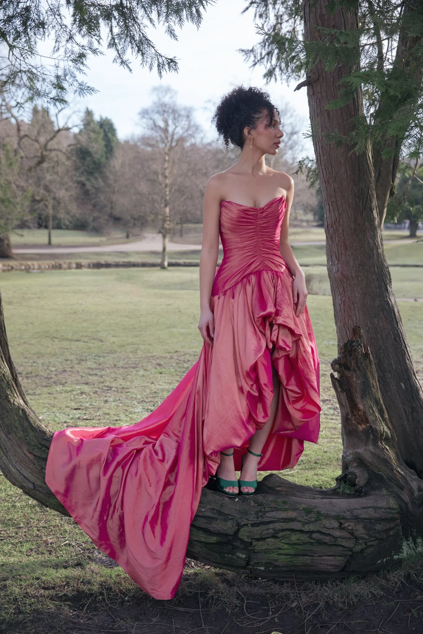 A woman in a pink strapless ball gown standing on a tree branch in a park with bare trees in the background.