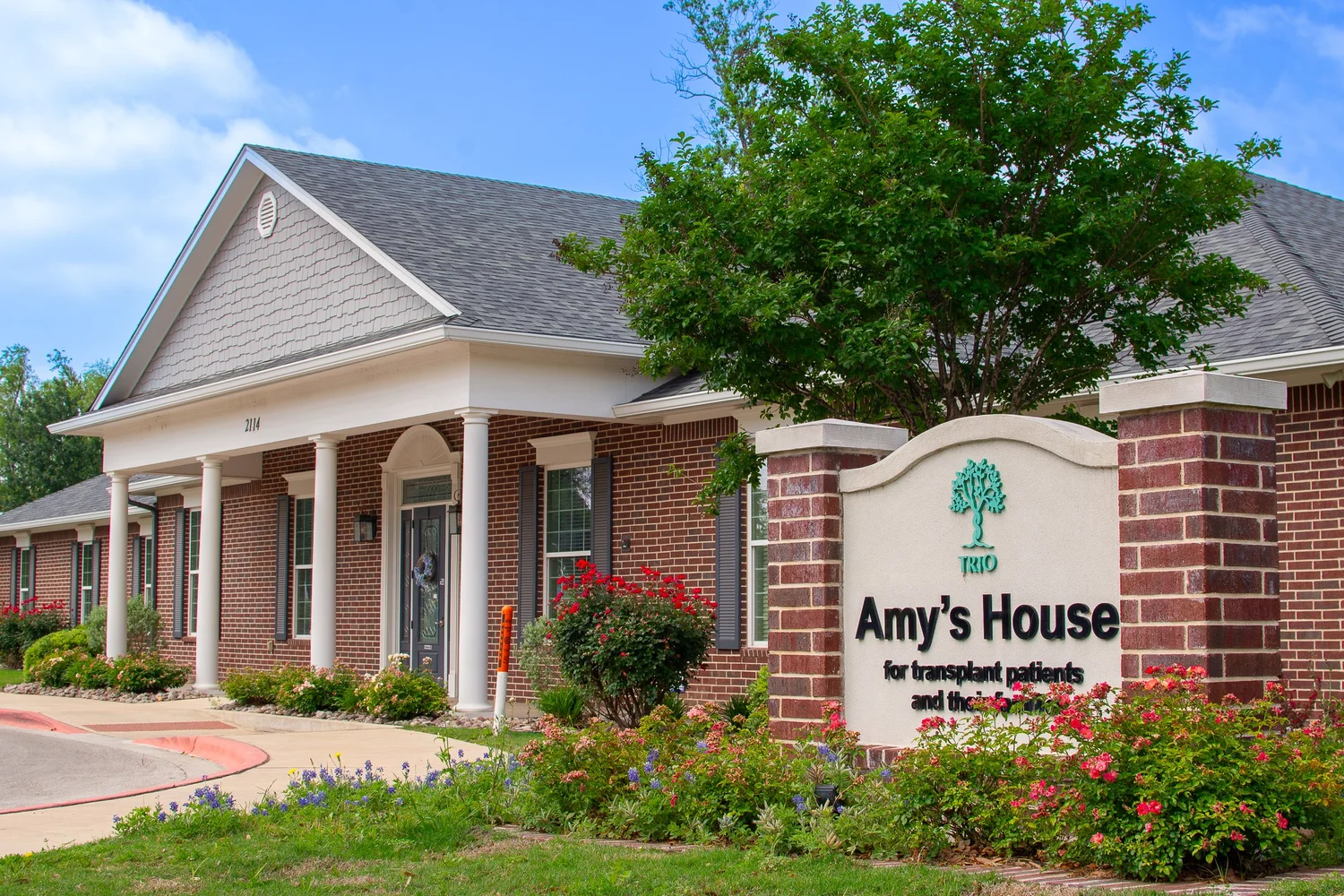 Amy's House