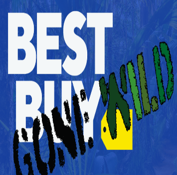 BEST BUY