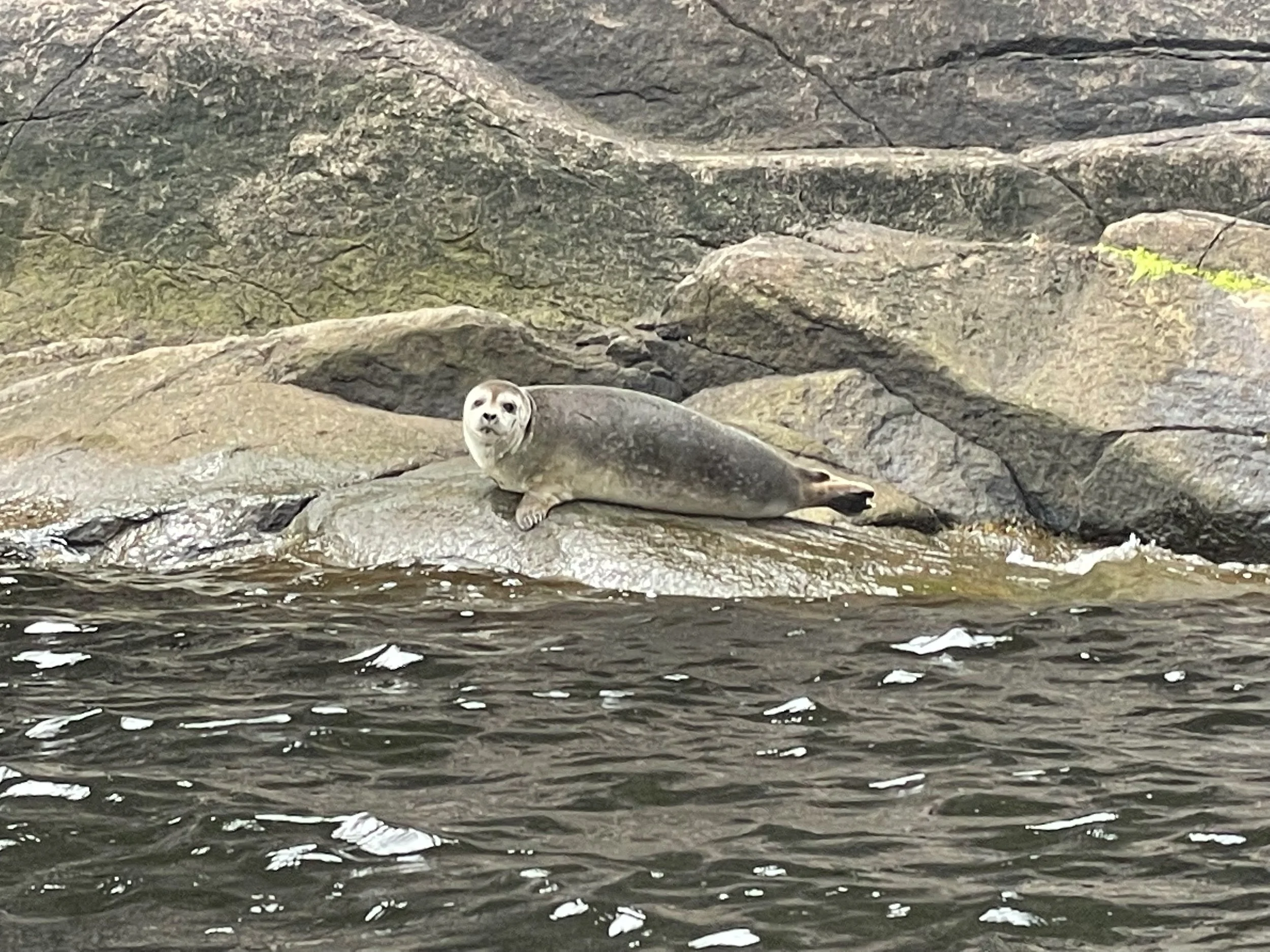 IMG_0476.jpeg