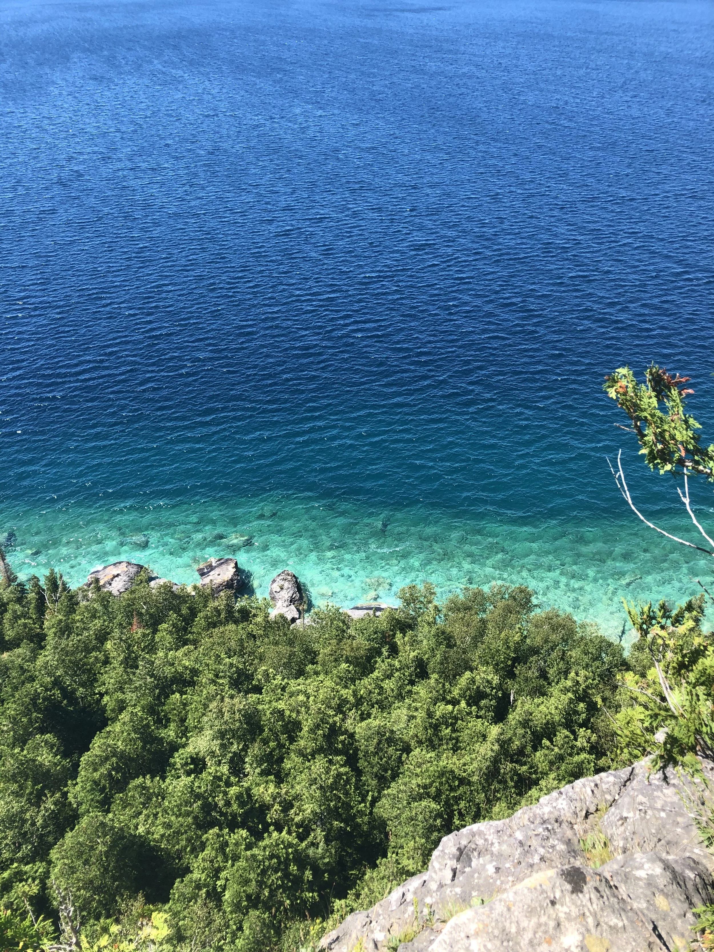 IMG_9653.jpeg