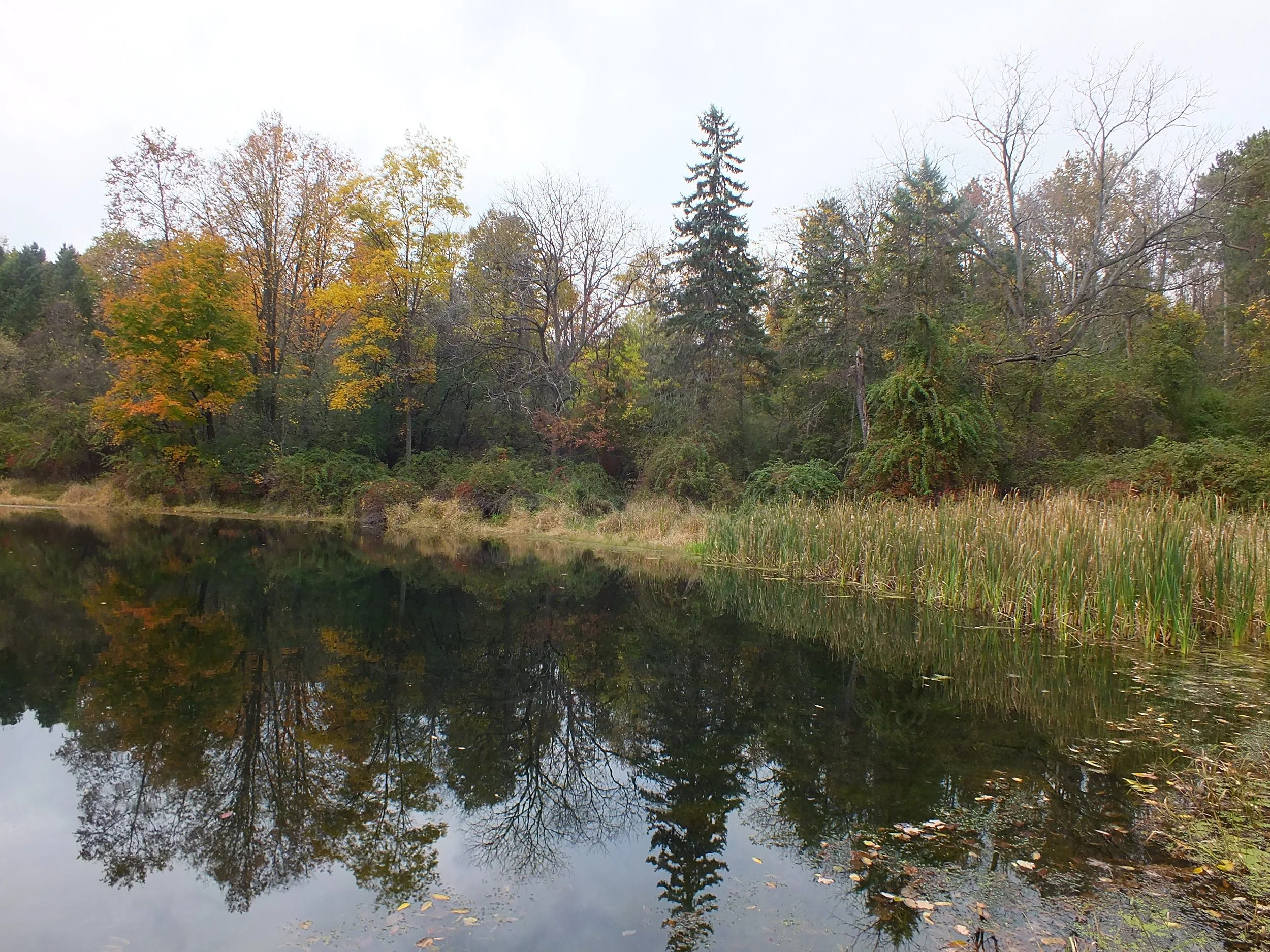 DSCF5305.JPG