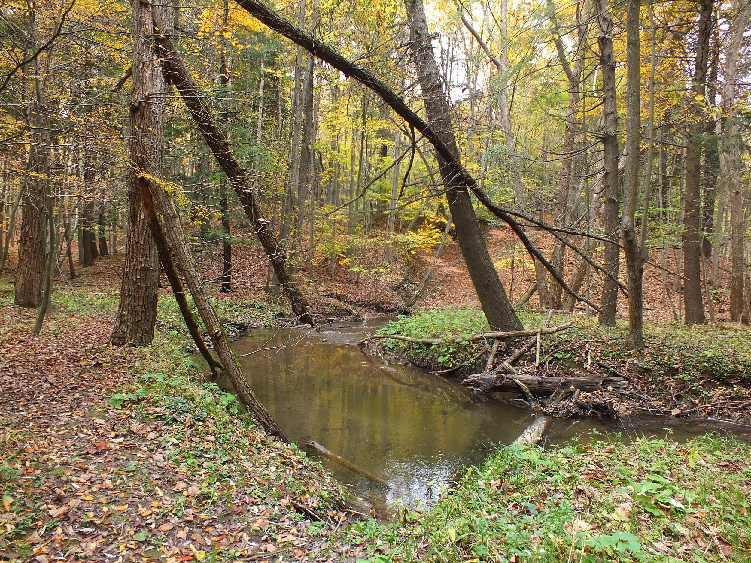 DSCF5276.JPG