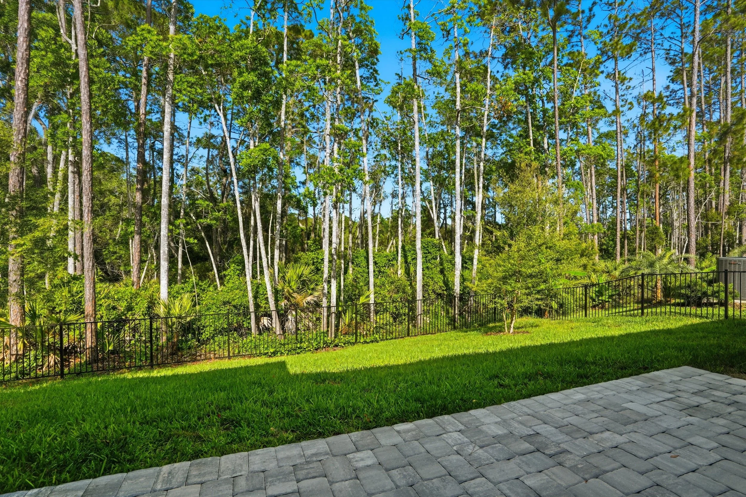 48-Backyard.jpg