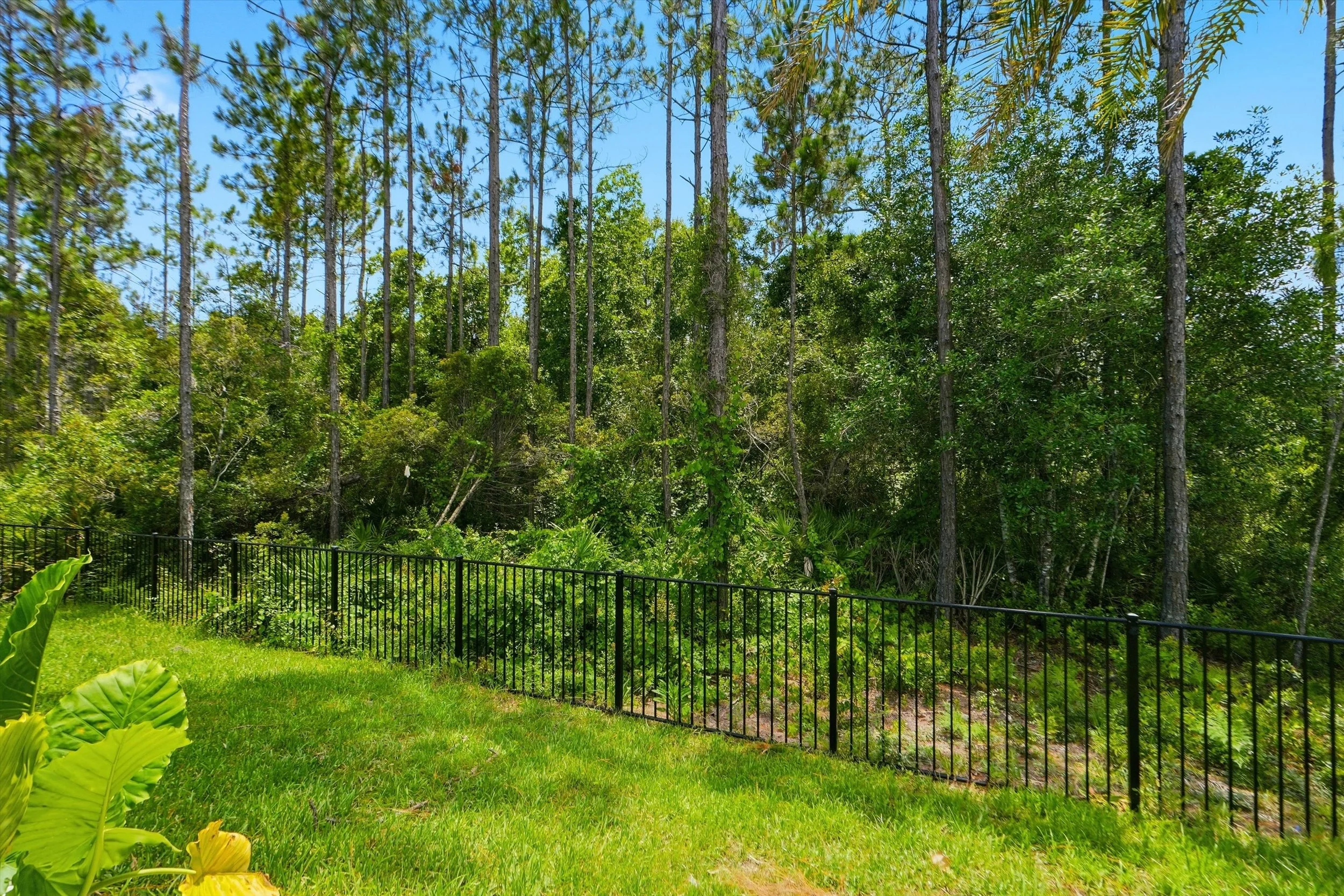 44-Backyard.jpg