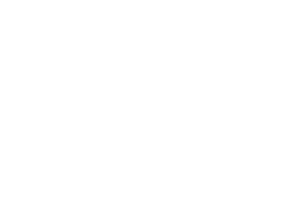 white WRG Build icon