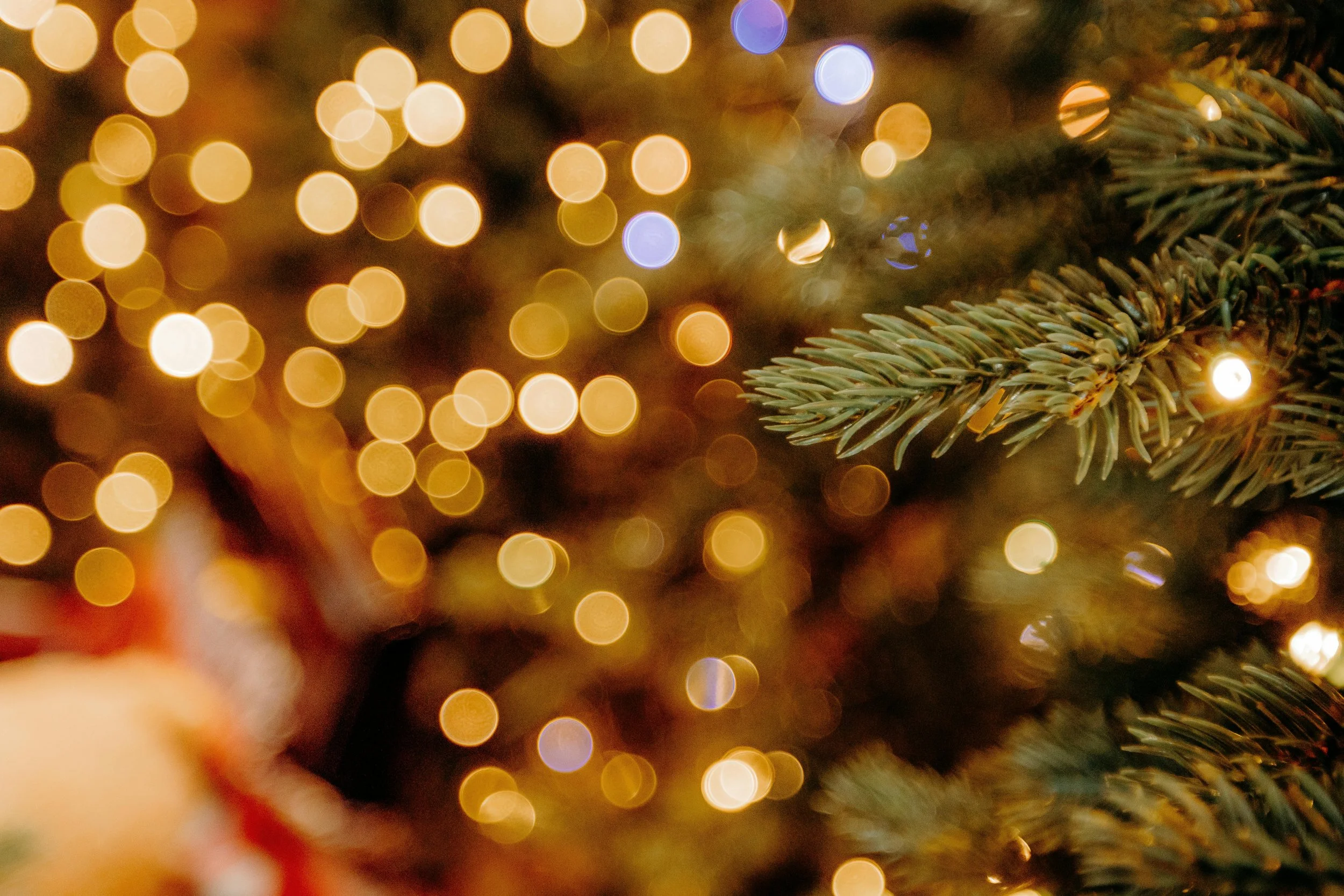 Image with holiday spirit to show that WRG cares for all employees, clients, and partners!