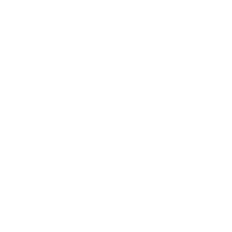 price tag icon