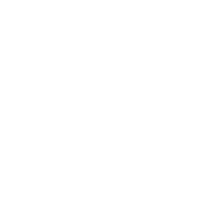 Icon of a hand holding a globe enclosed in a circle.