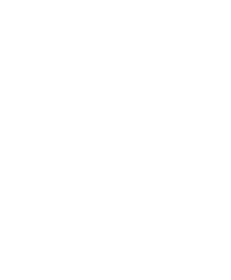 checklist icon